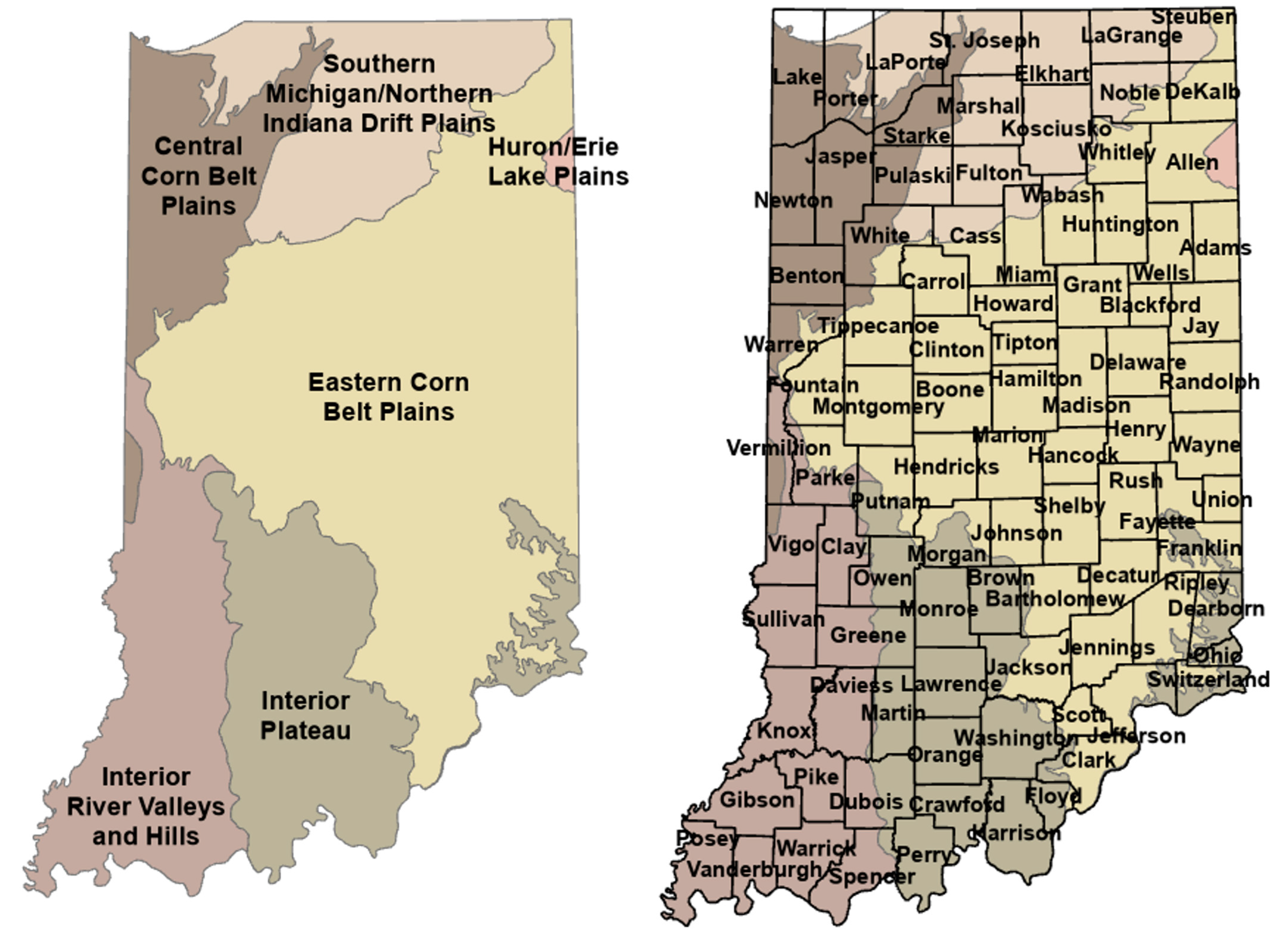 Microorganisms 11 00865 g001 Microorganisms 11 00865 g001