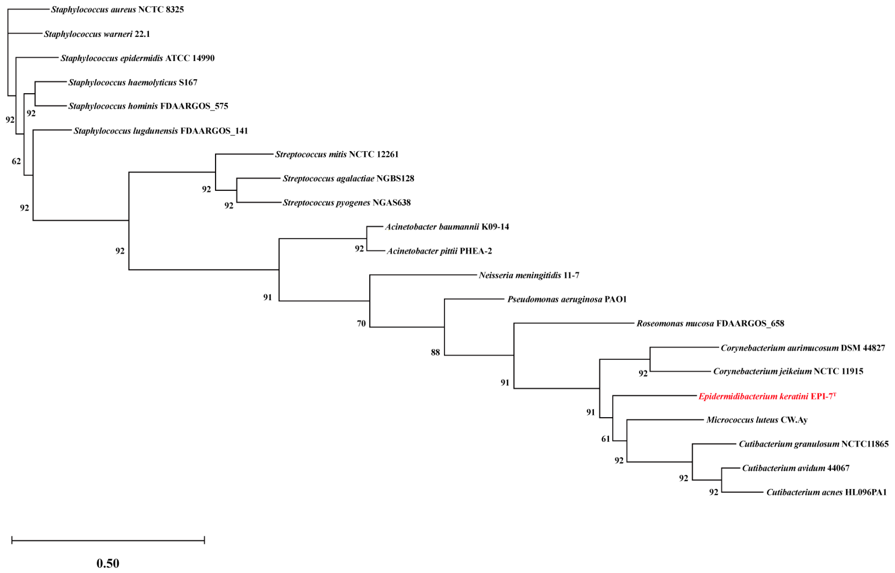 Microorganisms 11 00870 g004