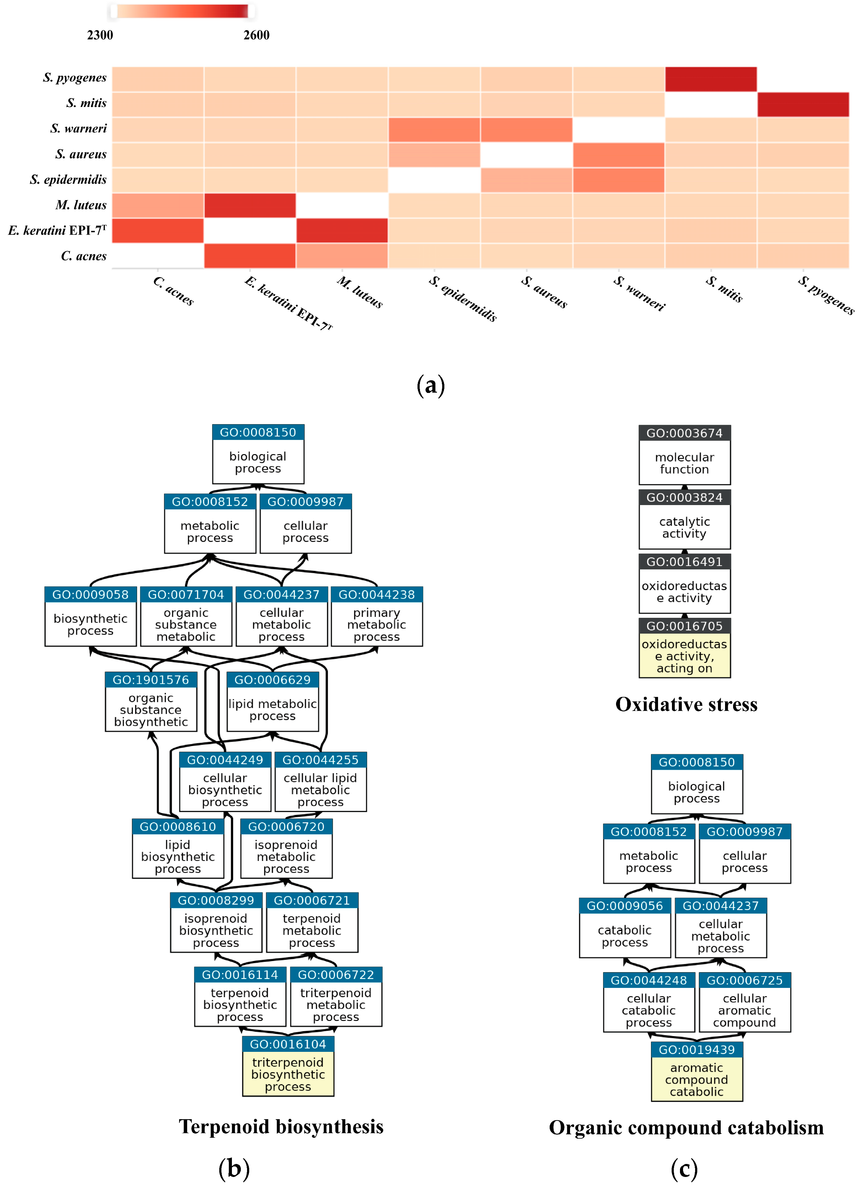 Microorganisms 11 00870 g006