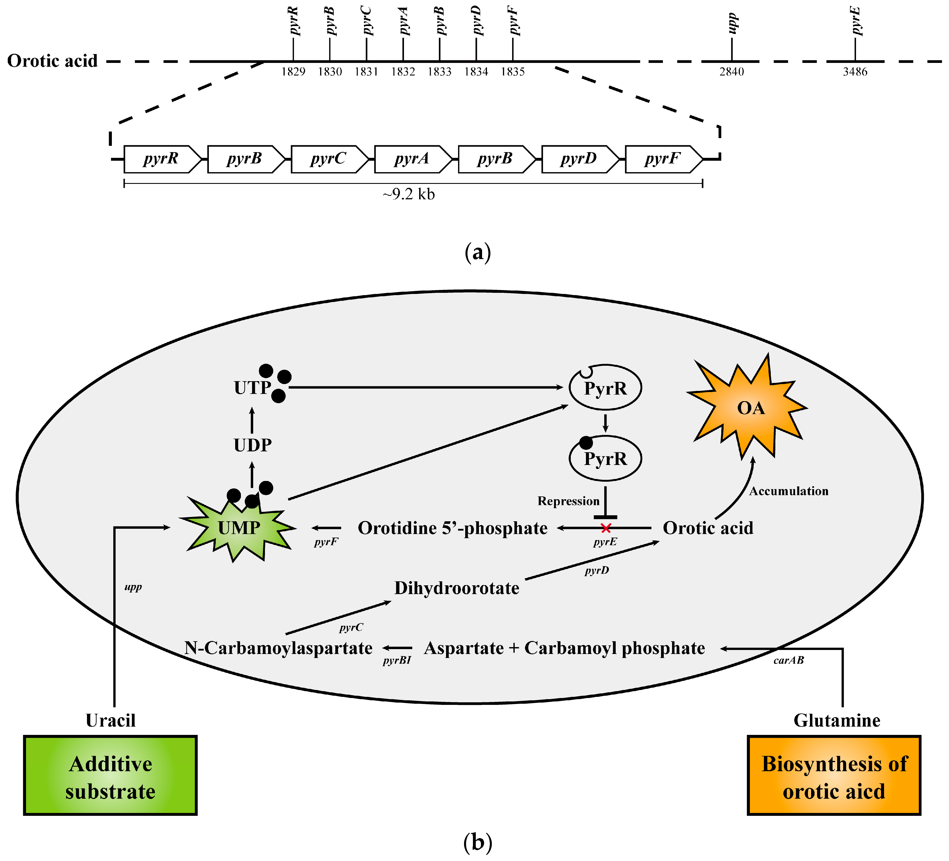 Microorganisms 11 00870 g008