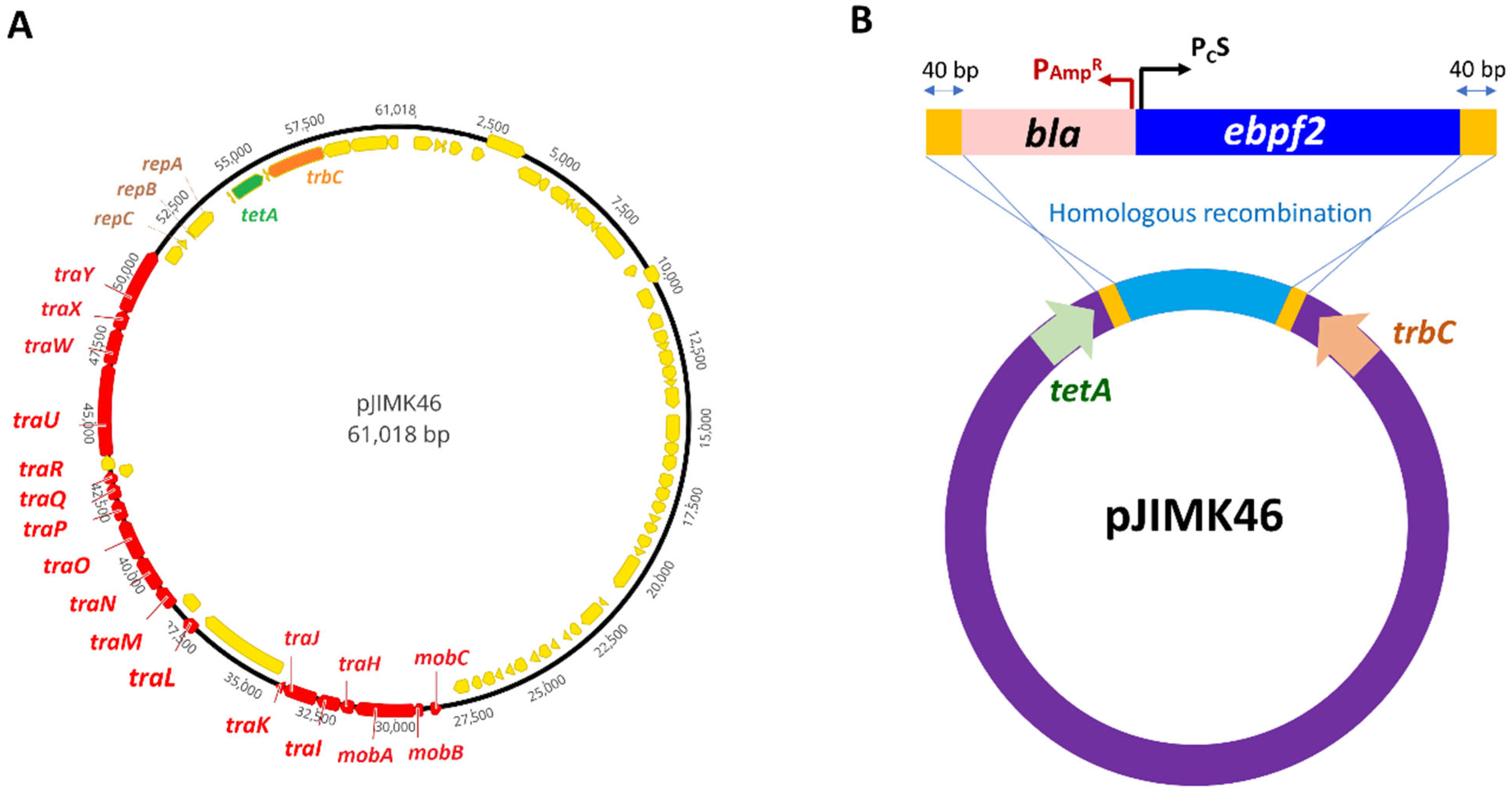 Microorganisms 11 00878 g002 Microorganisms 11 00878 g002