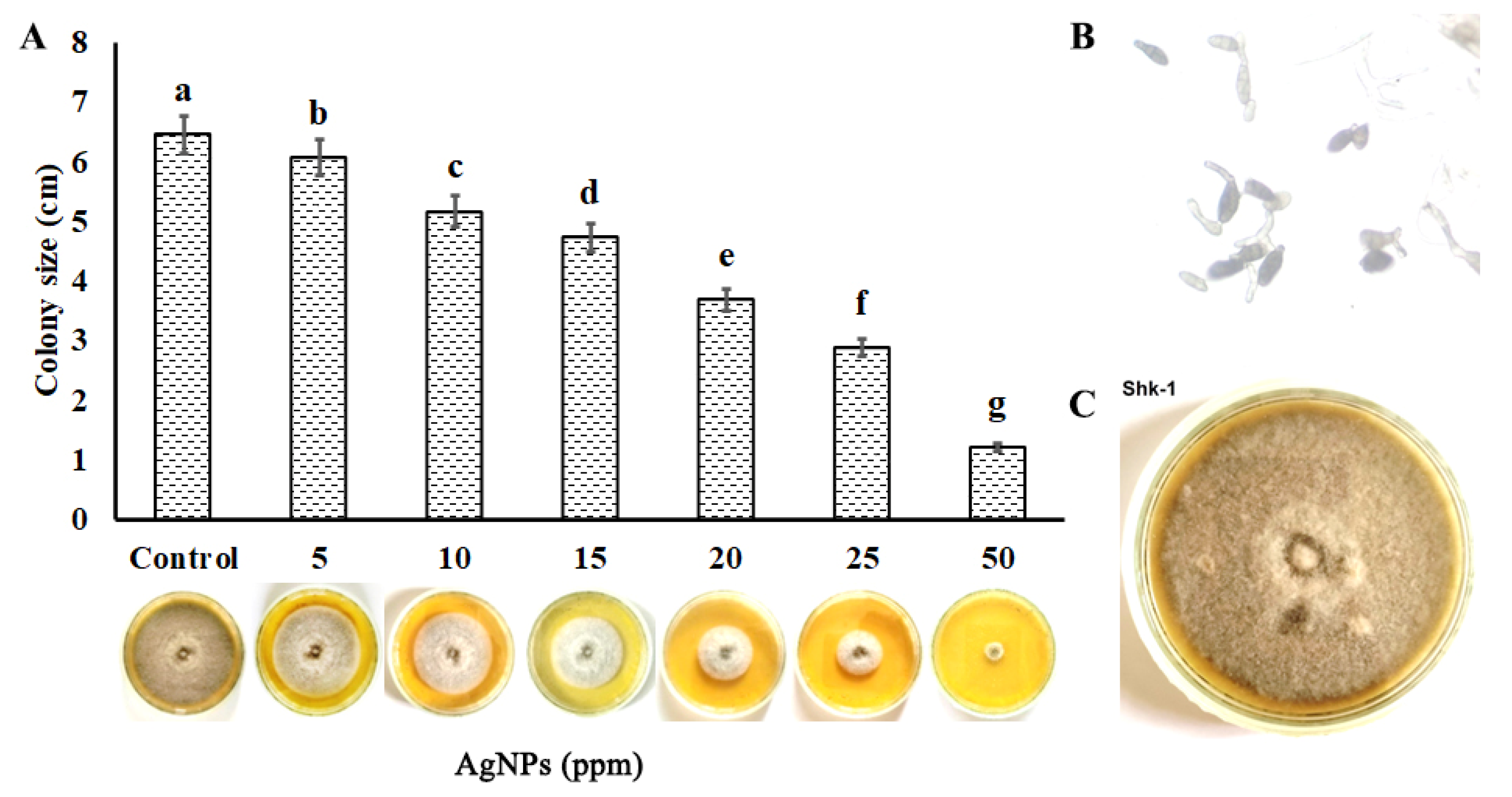 Microorganisms 11 00886 g001