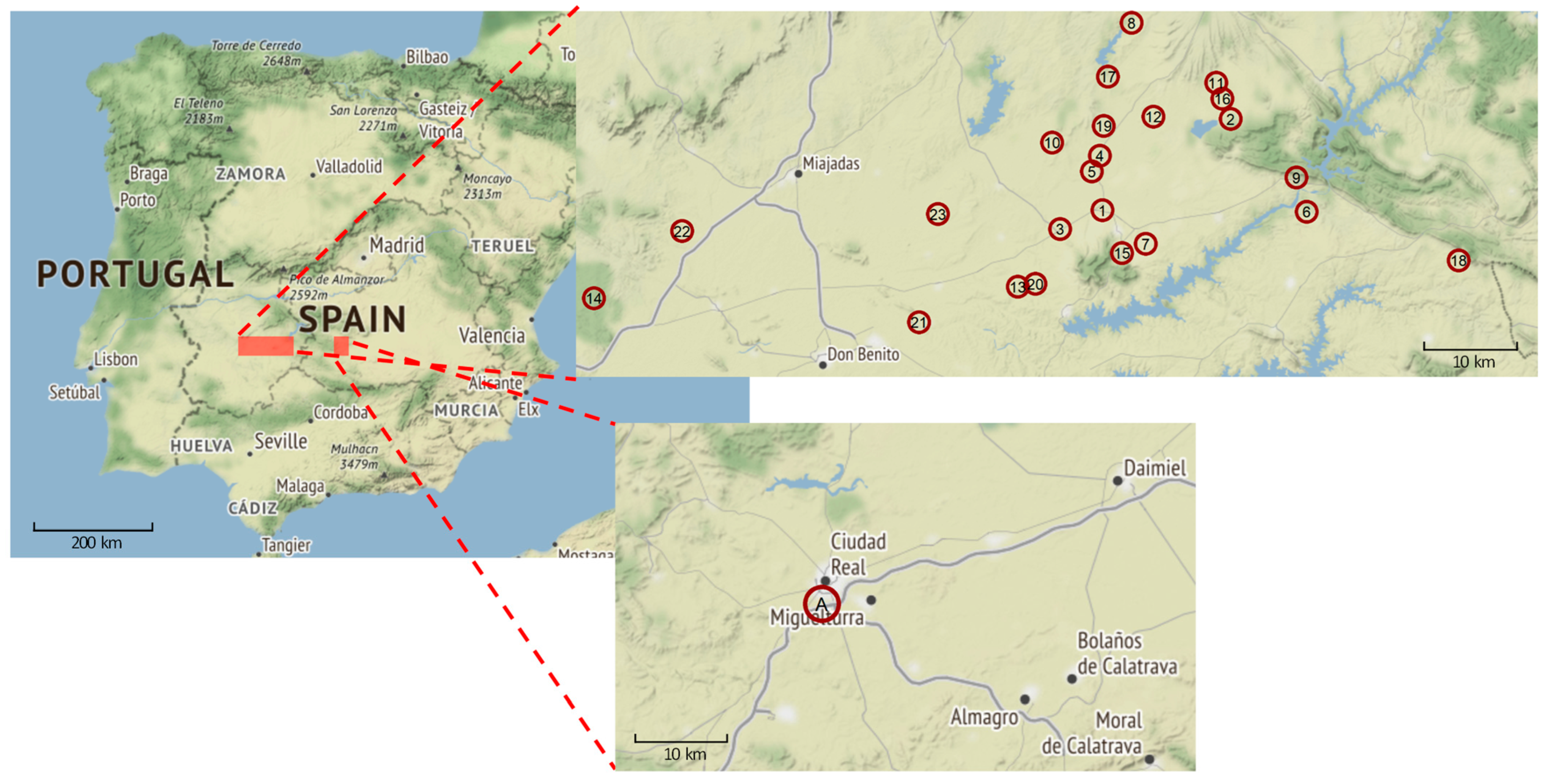 Microorganisms 11 00889 g001