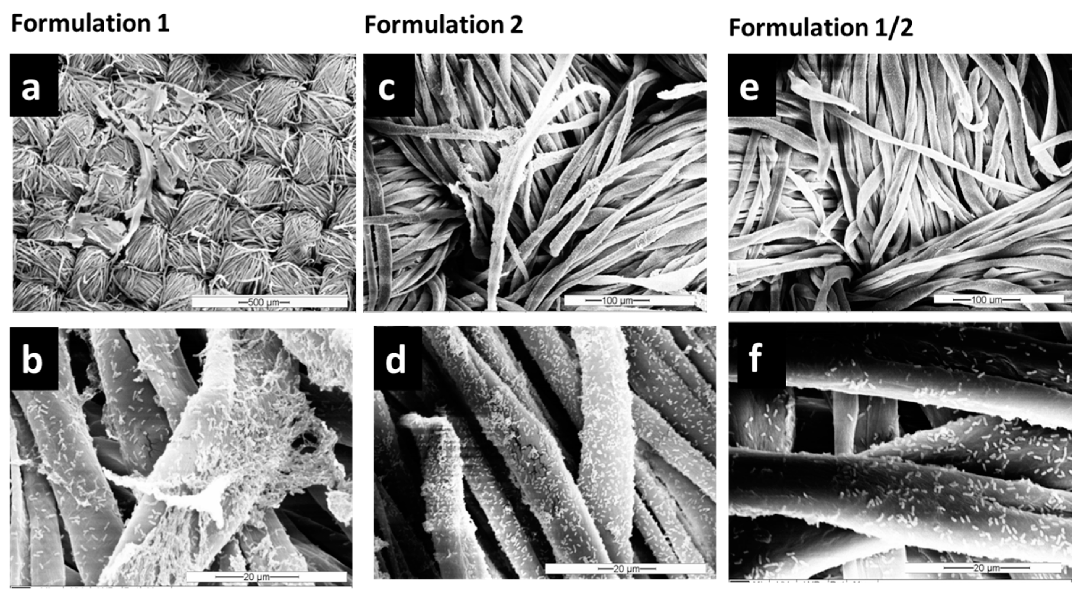 Microorganisms 11 00892 g003 Microorganisms 11 00892 g003