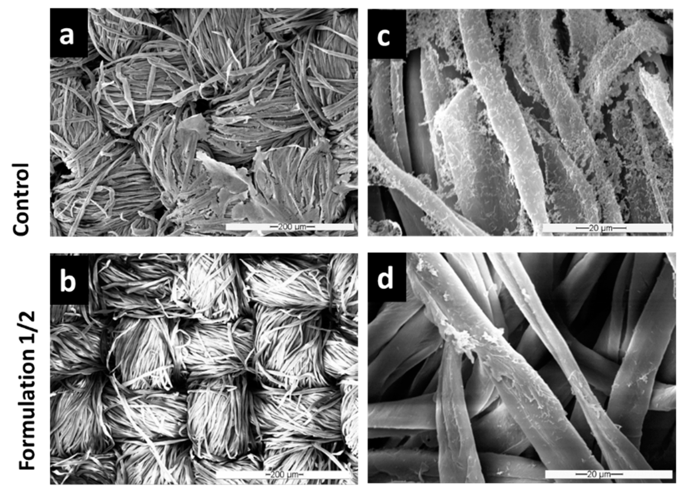 Microorganisms 11 00892 g006 Microorganisms 11 00892 g006