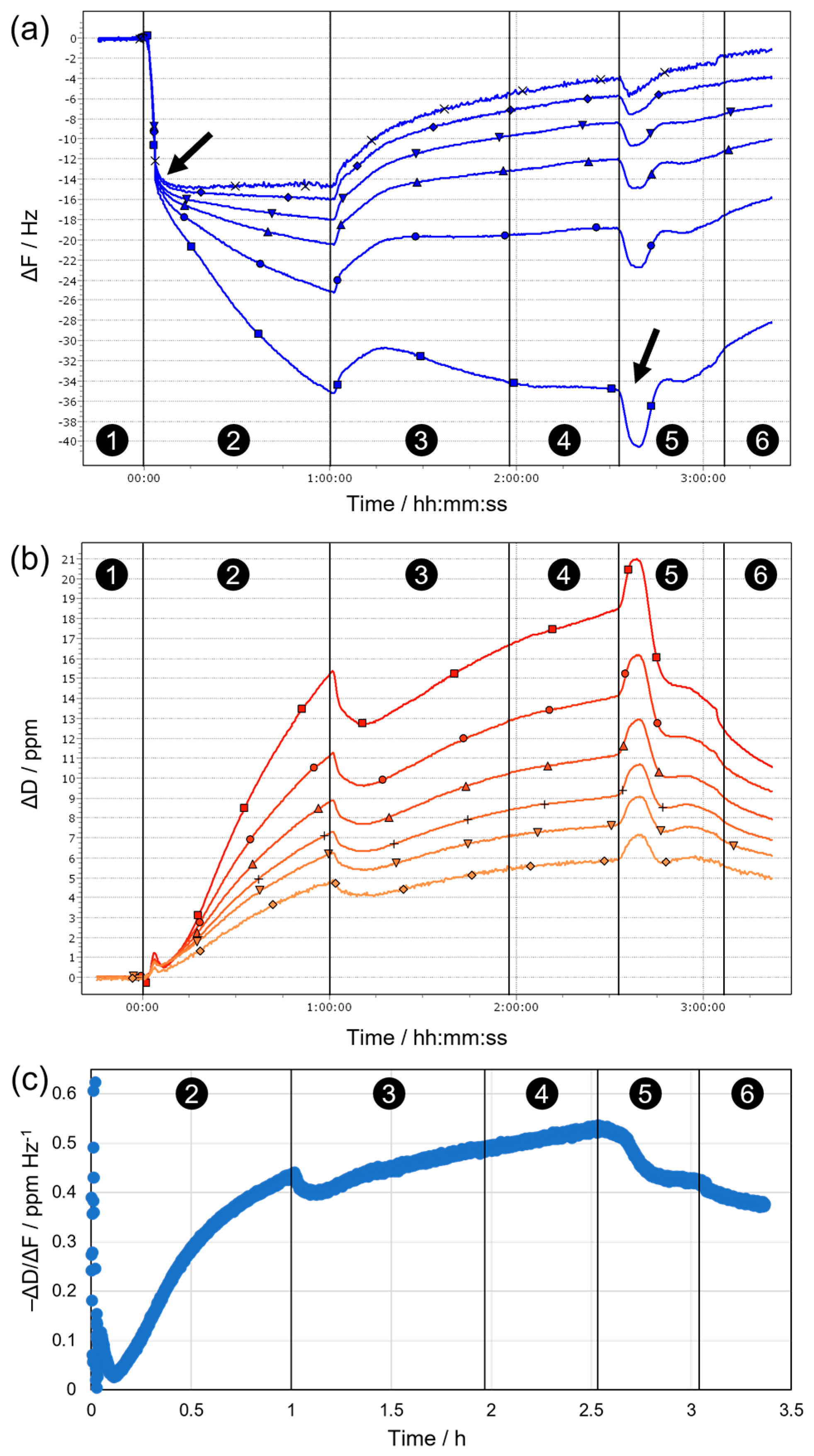 Microorganisms 11 00892 g008 Microorganisms 11 00892 g008