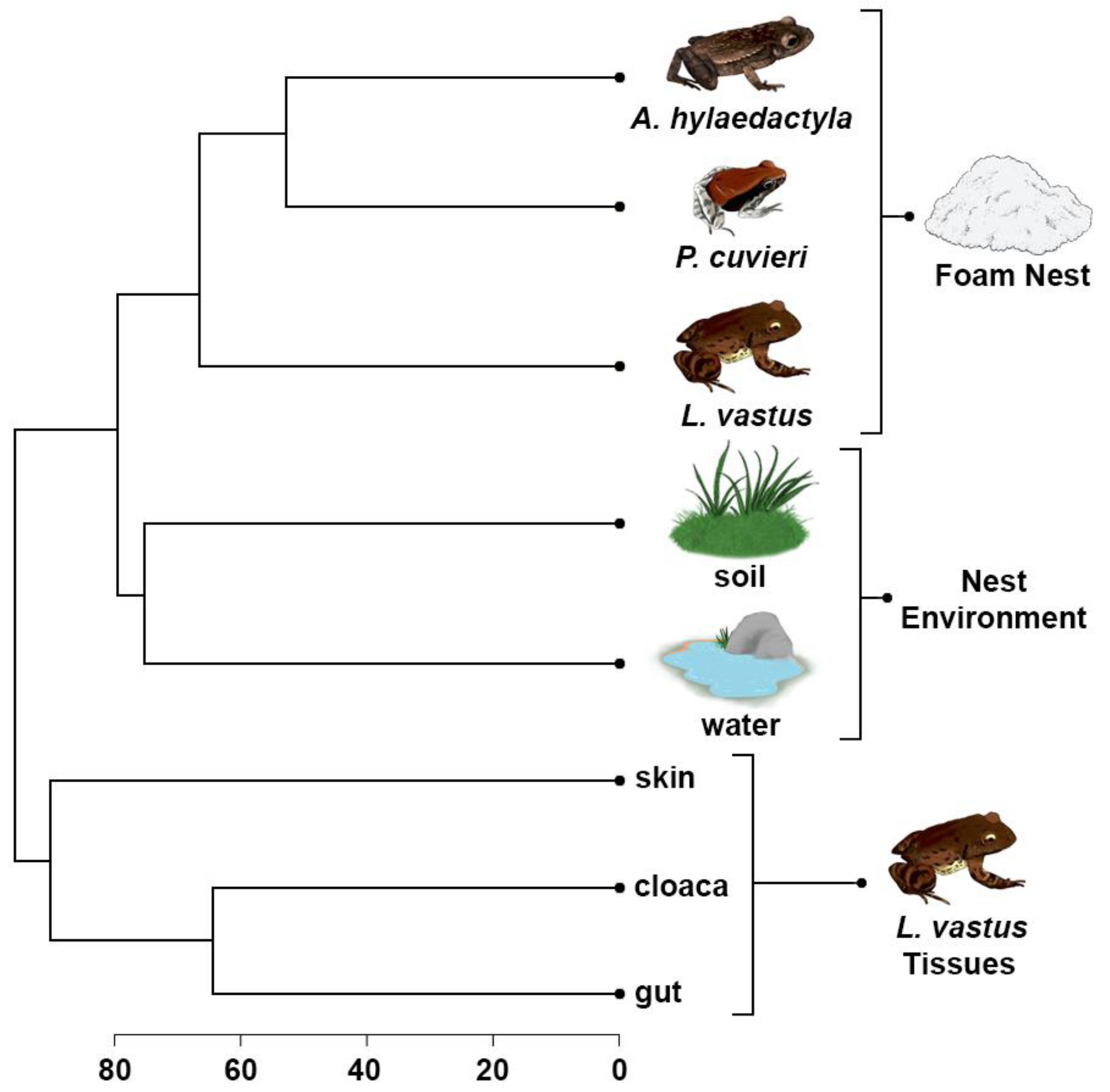 Microorganisms 11 00900 g007 Microorganisms 11 00900 g007