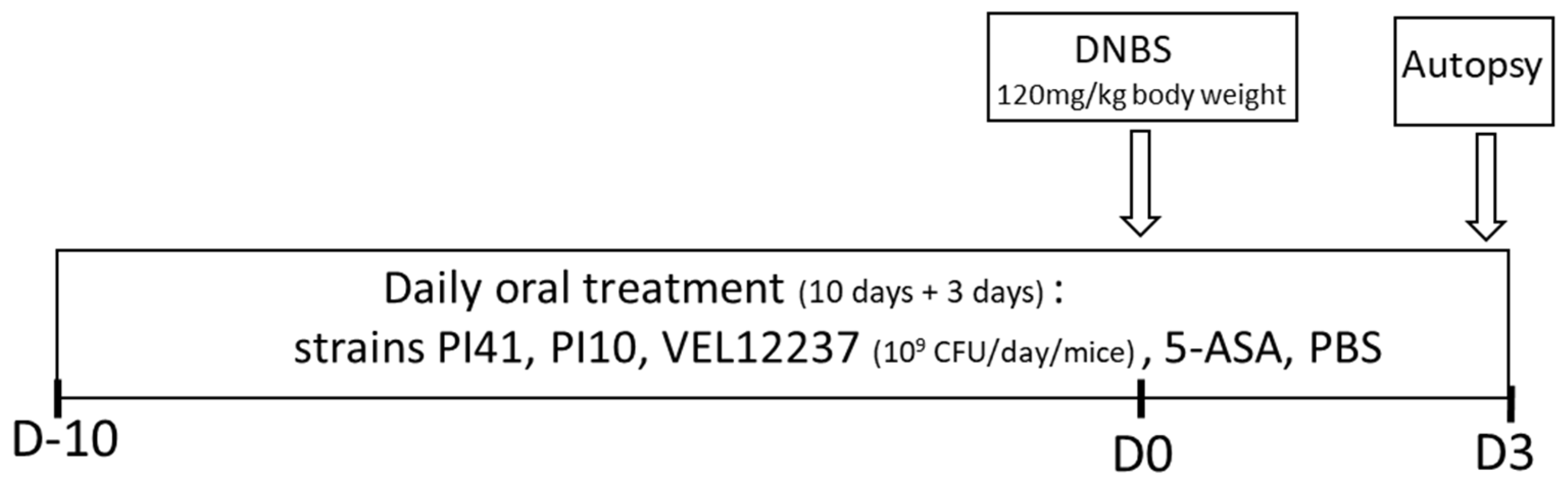 Microorganisms 11 00906 g001 Microorganisms 11 00906 g001