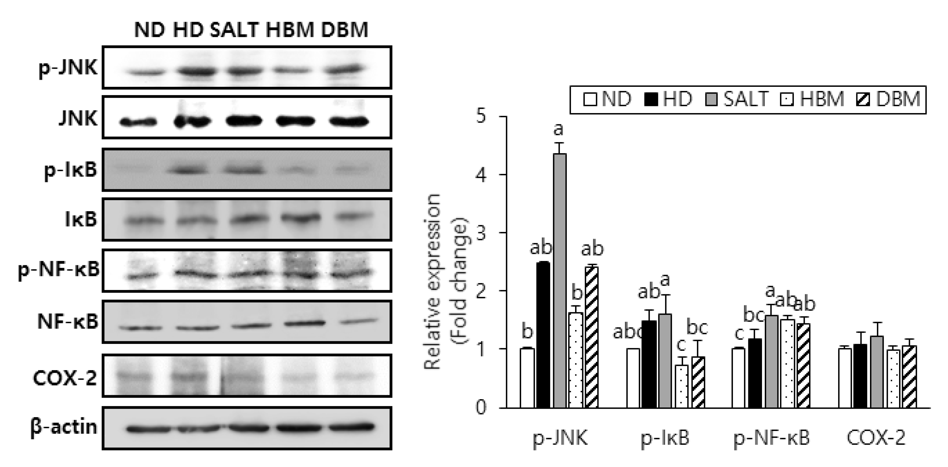 Microorganisms 11 00911 g005