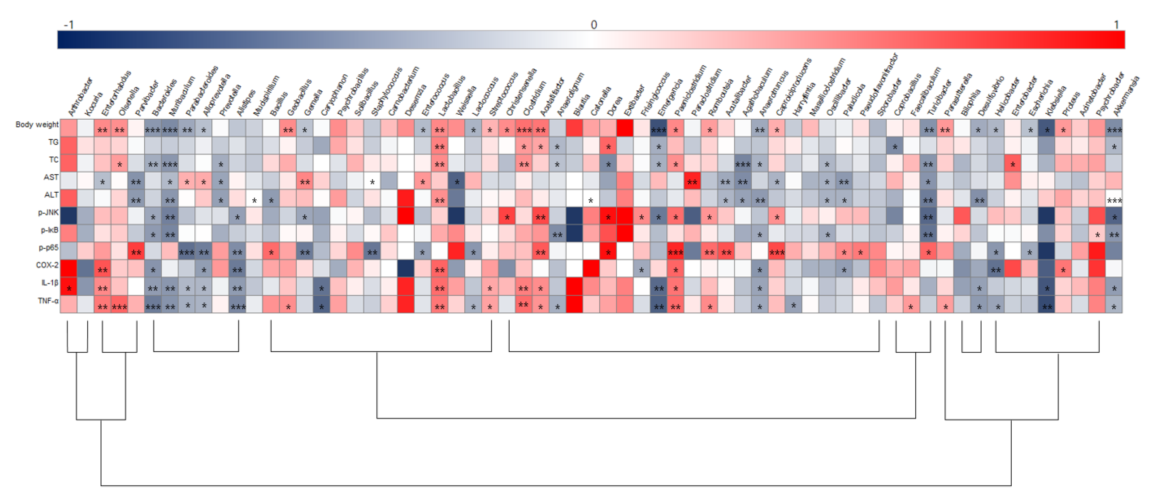 Microorganisms 11 00911 g009