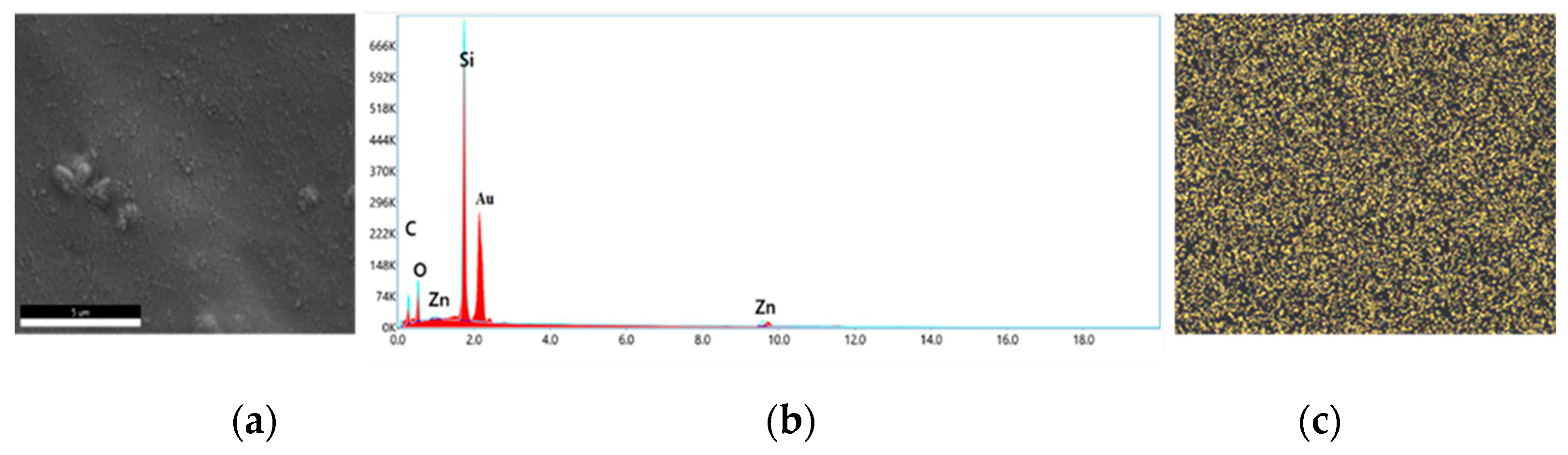 Microorganisms 11 00913 g005