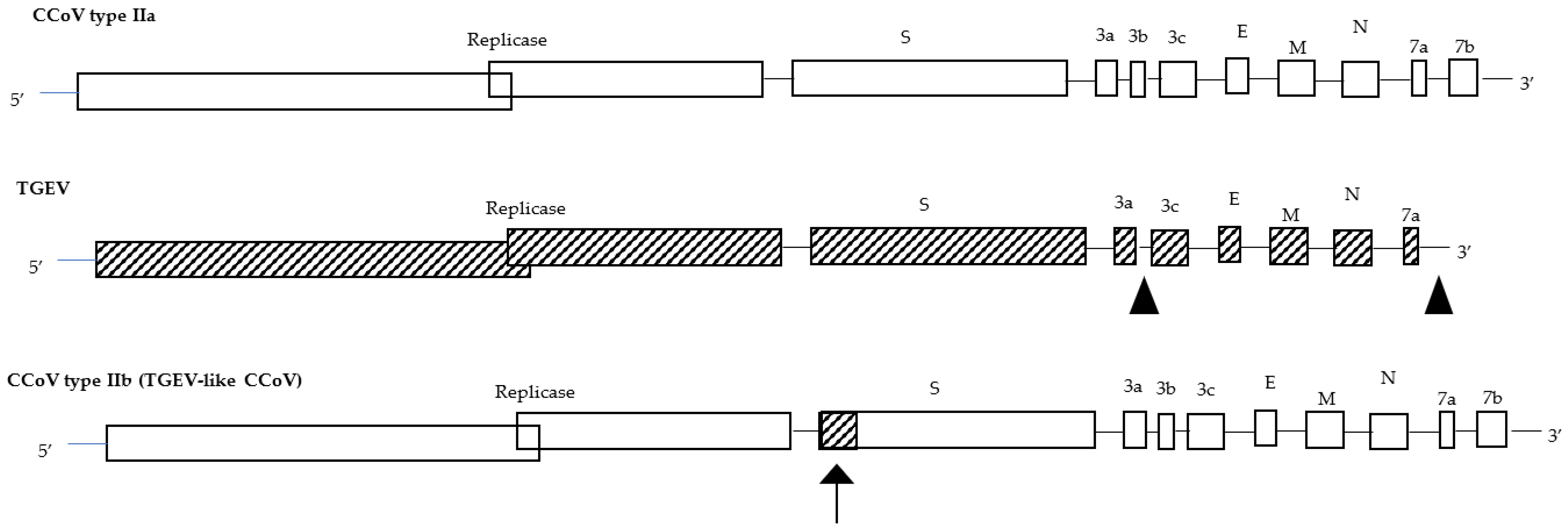 Microorganisms 11 00921 g001