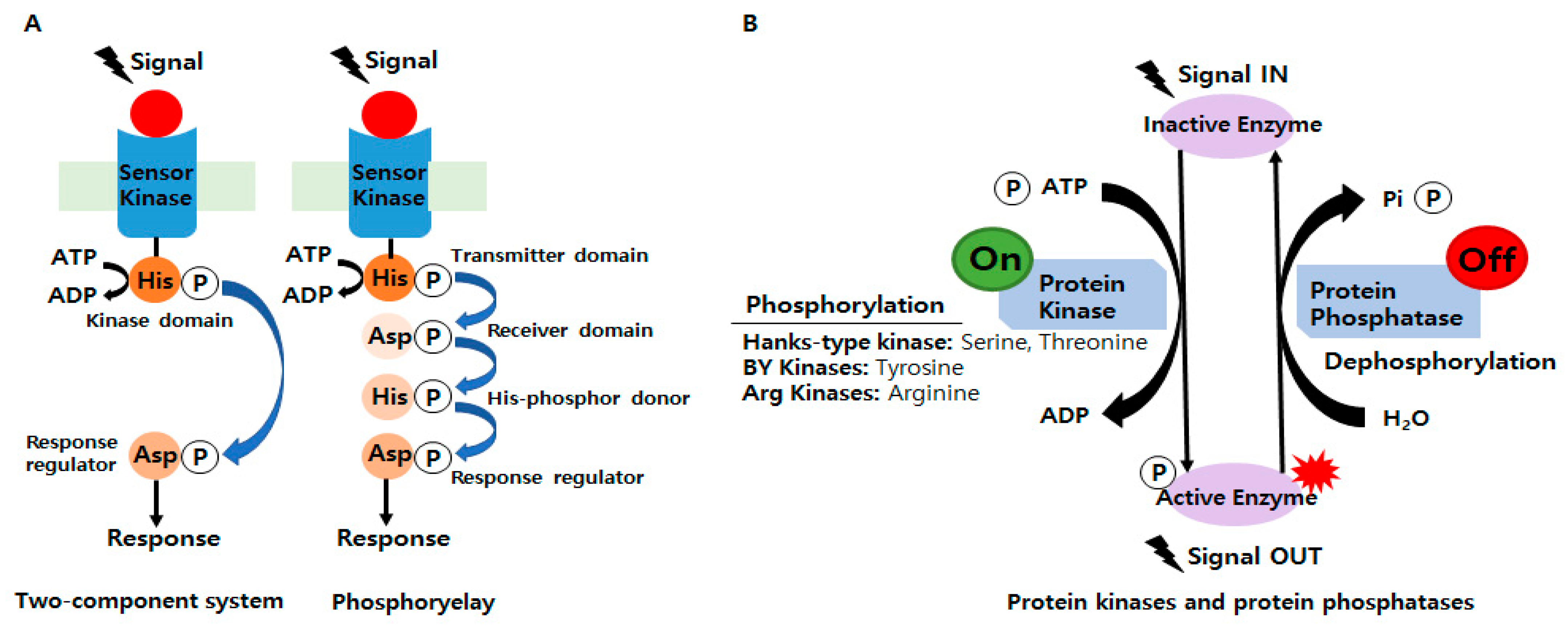 Microorganisms 11 00931 g001 Microorganisms 11 00931 g001