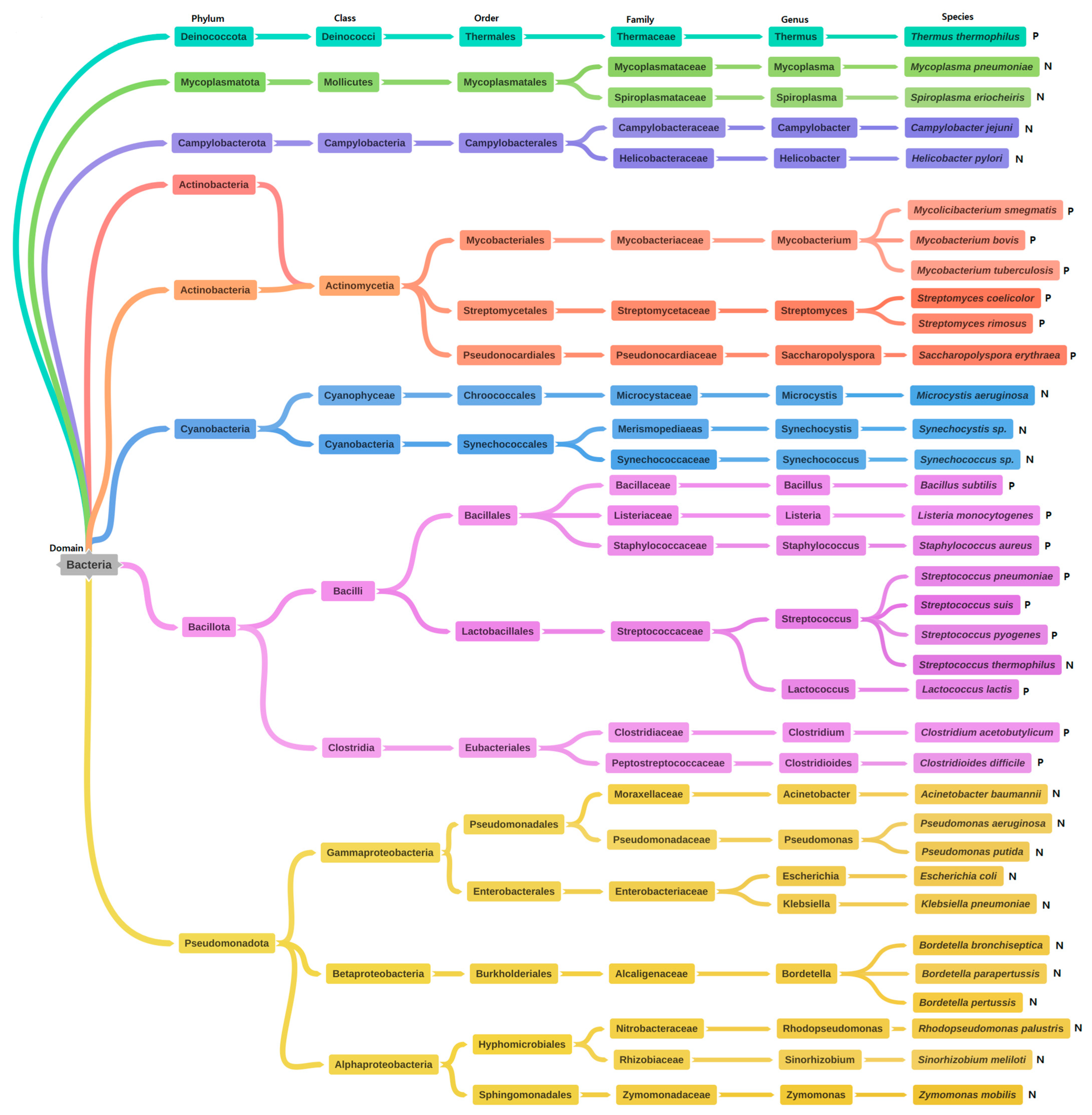 Microorganisms 11 00931 g002 Microorganisms 11 00931 g002