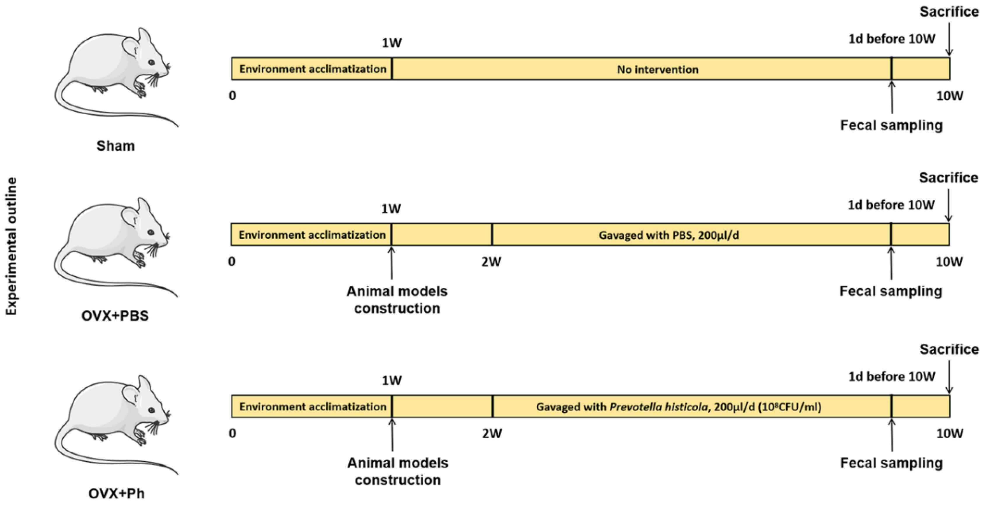 Microorganisms 11 00950 g001