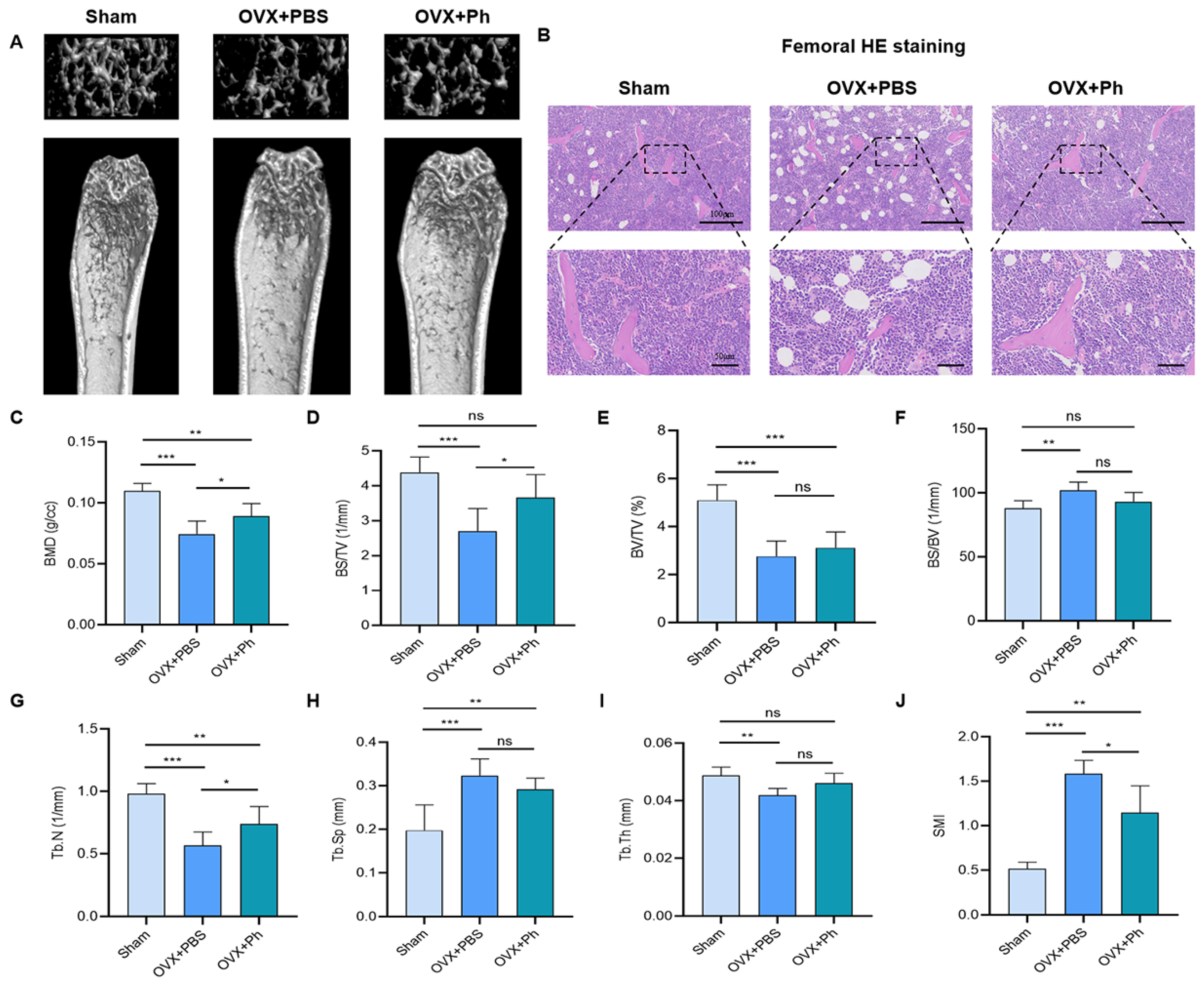 Microorganisms 11 00950 g002