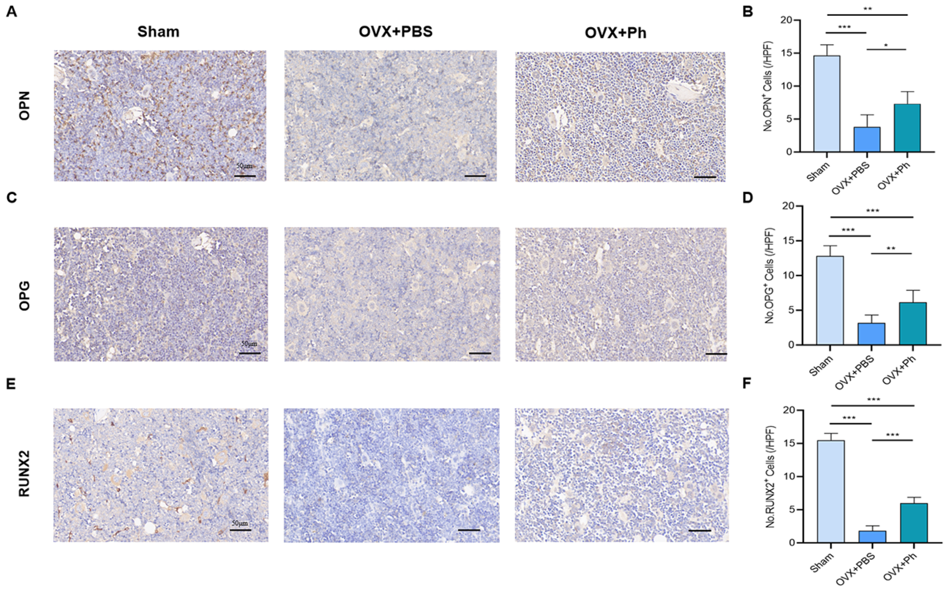 Microorganisms 11 00950 g004