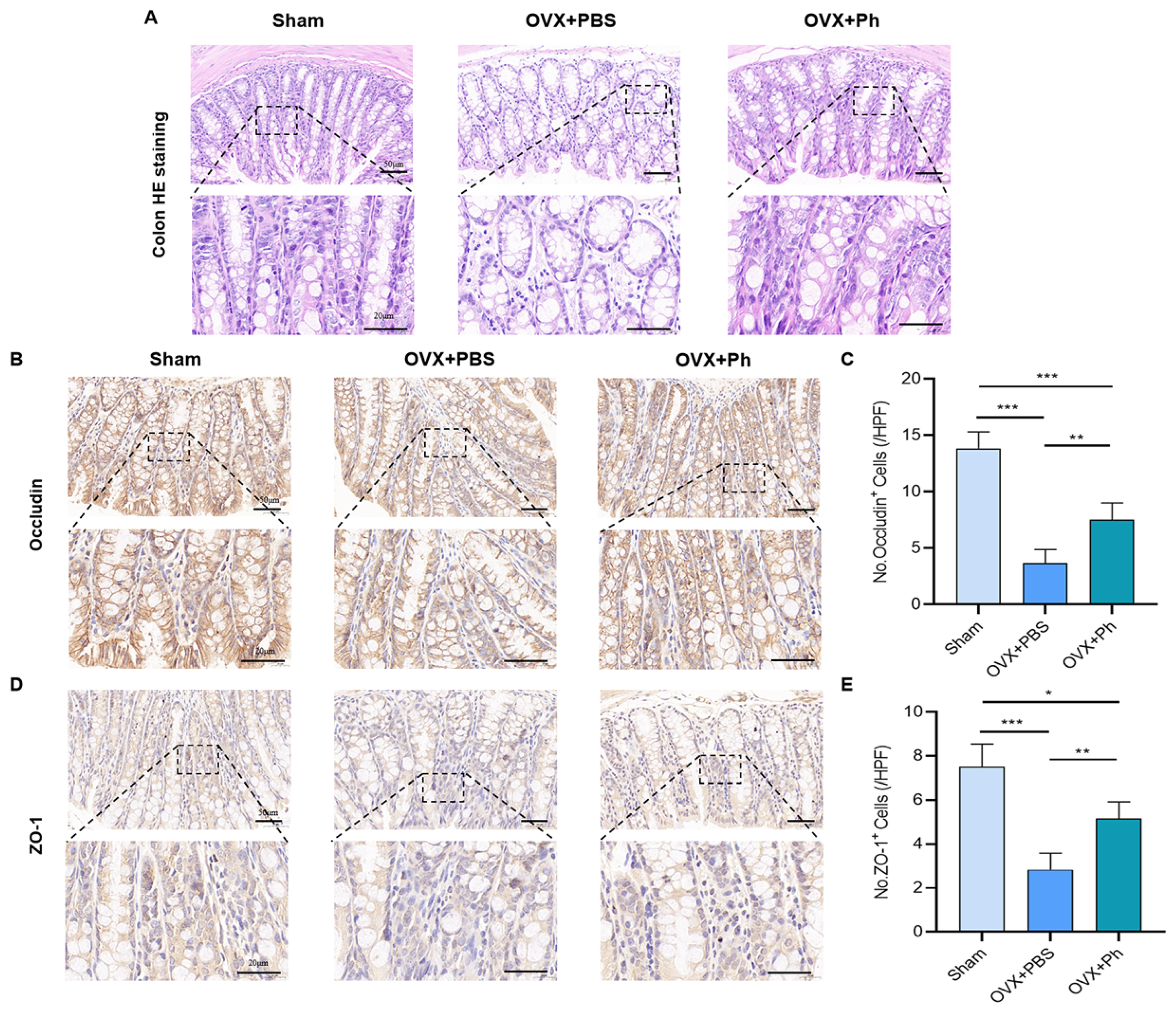 Microorganisms 11 00950 g005