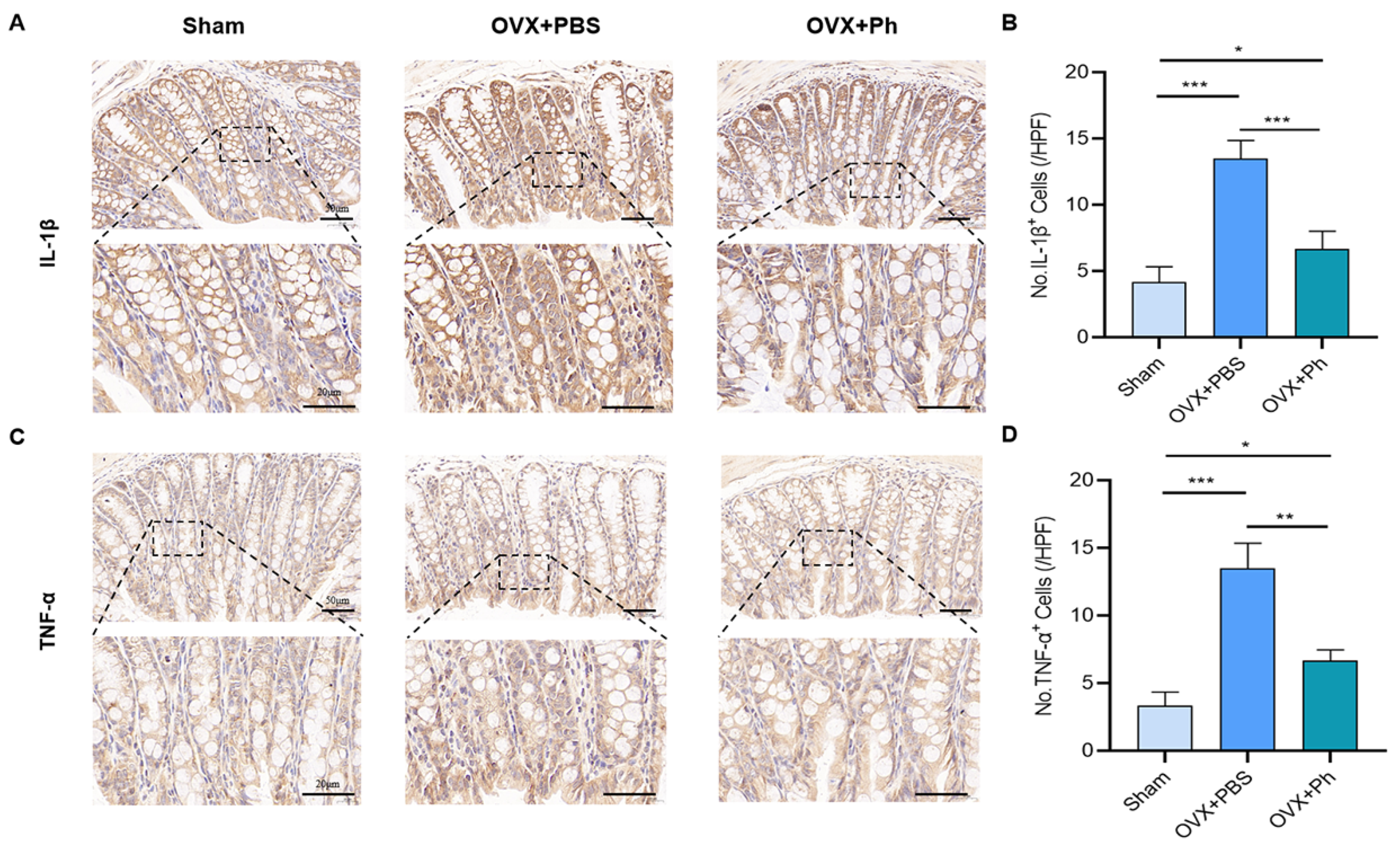 Microorganisms 11 00950 g006