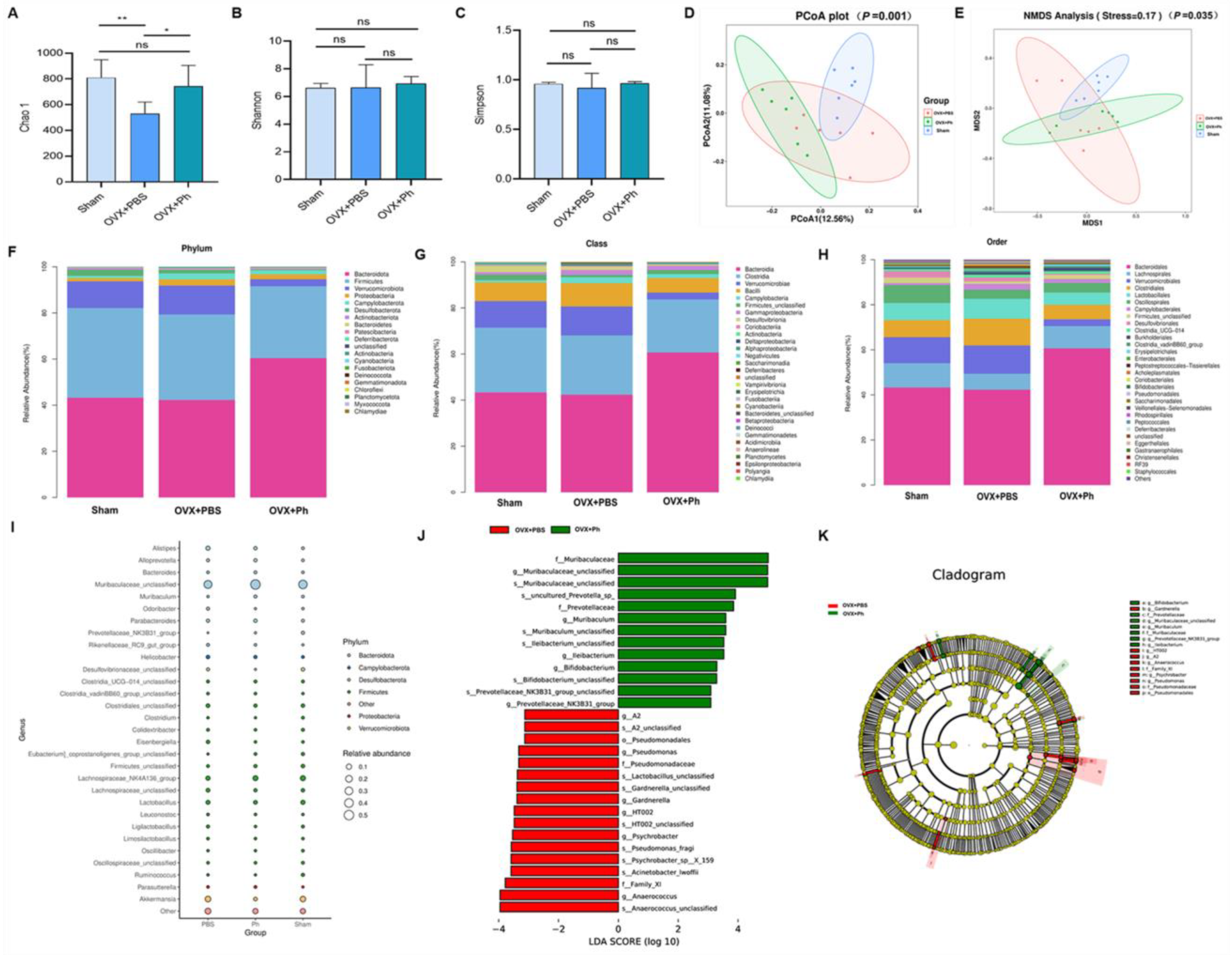 Microorganisms 11 00950 g007