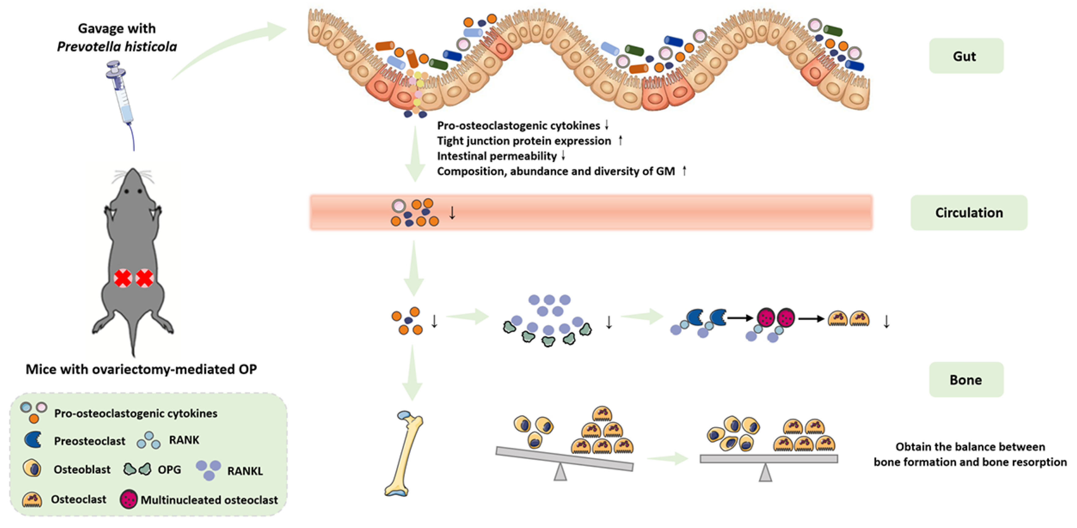 Microorganisms 11 00950 g008