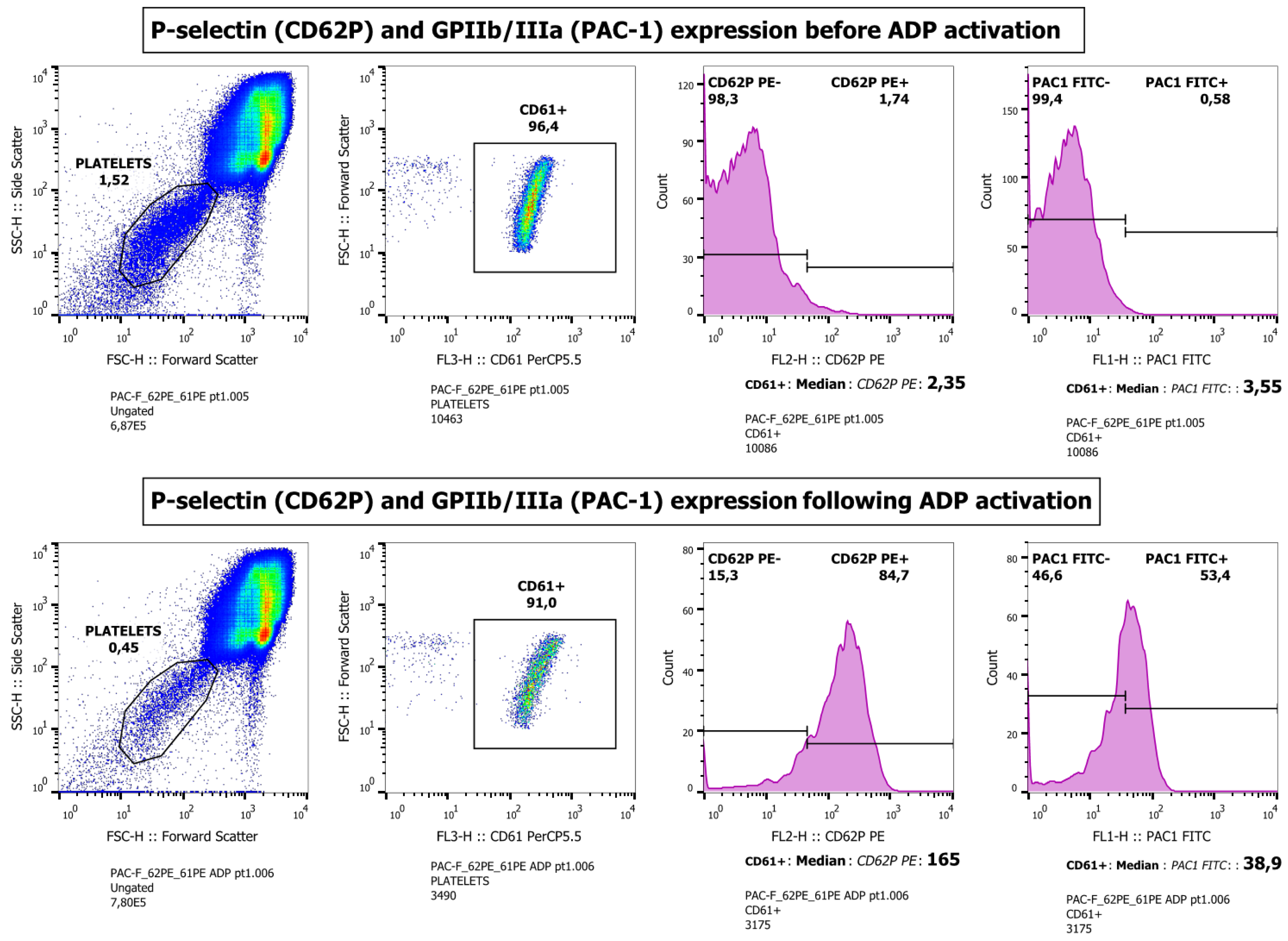Microorganisms 11 00958 g004
