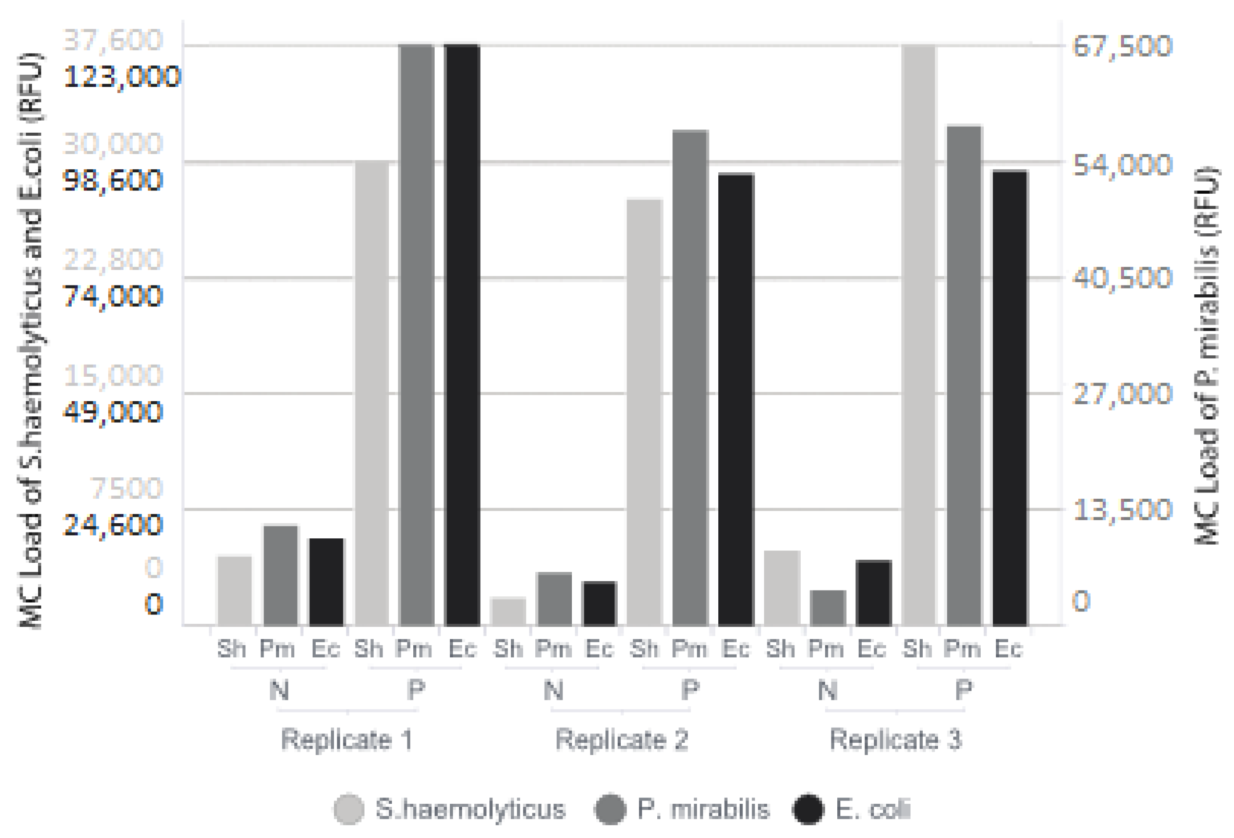 Microorganisms 11 00960 g002