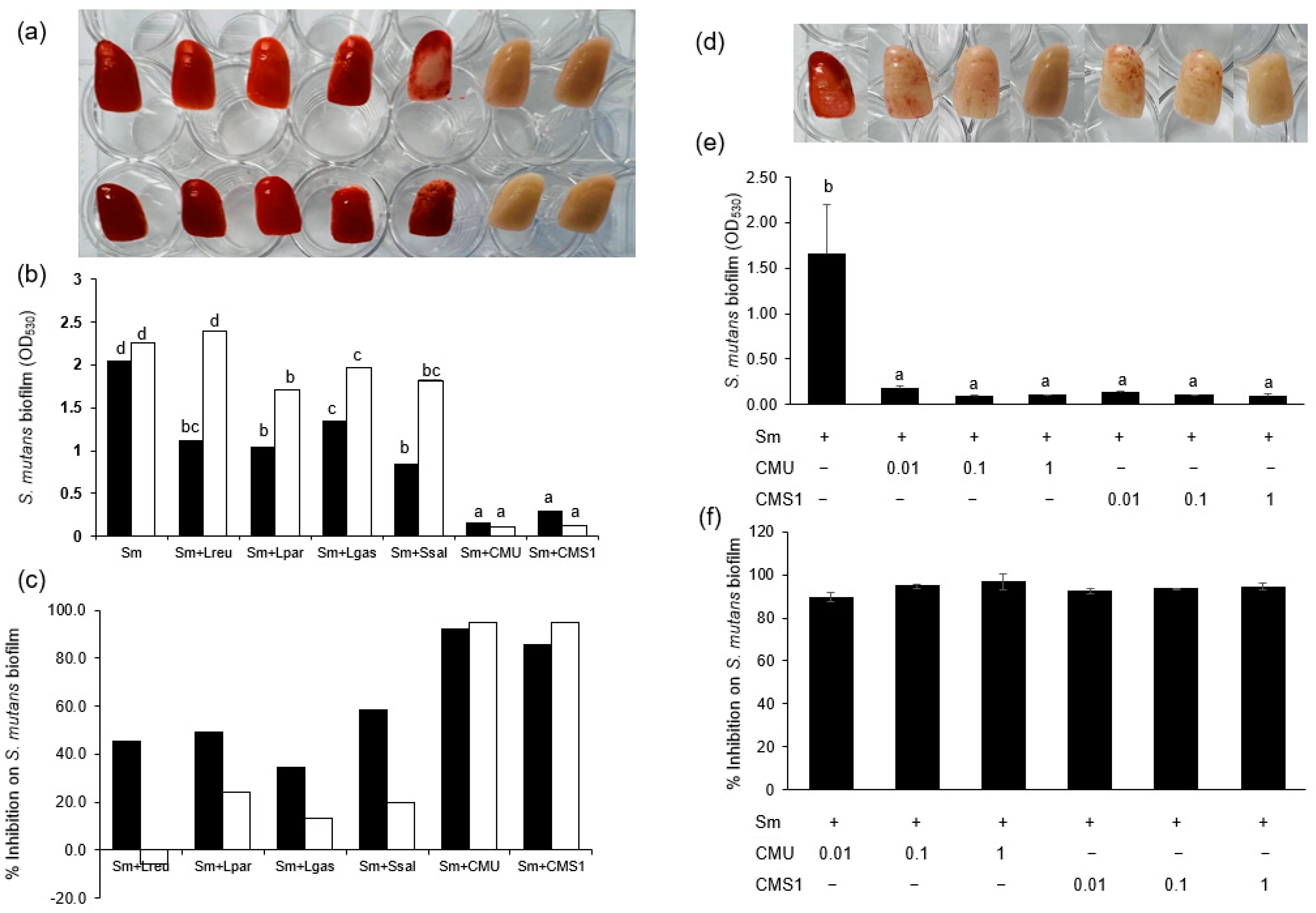 Microorganisms 11 00962 g002 Microorganisms 11 00962 g002