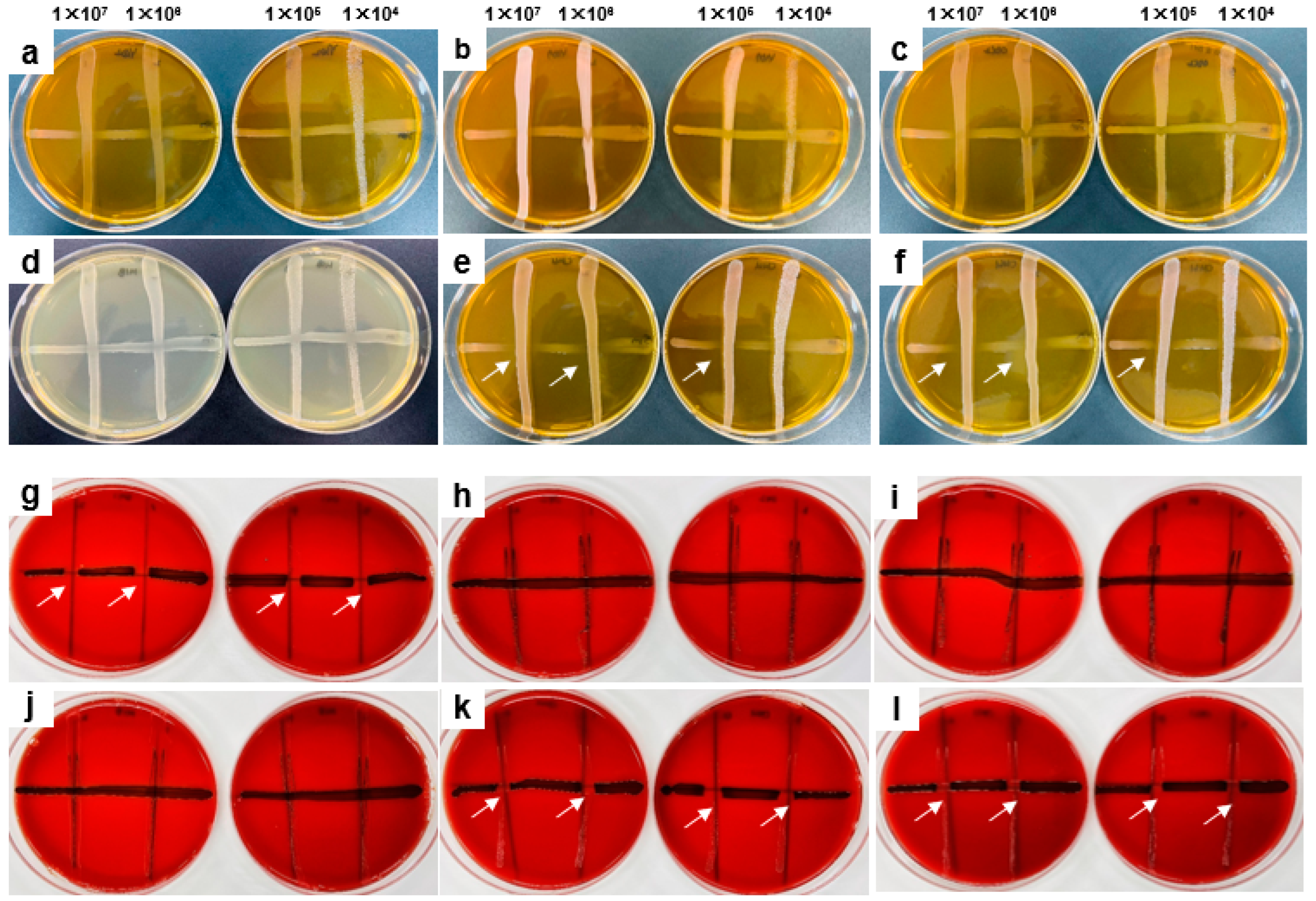 Microorganisms 11 00962 g003 Microorganisms 11 00962 g003