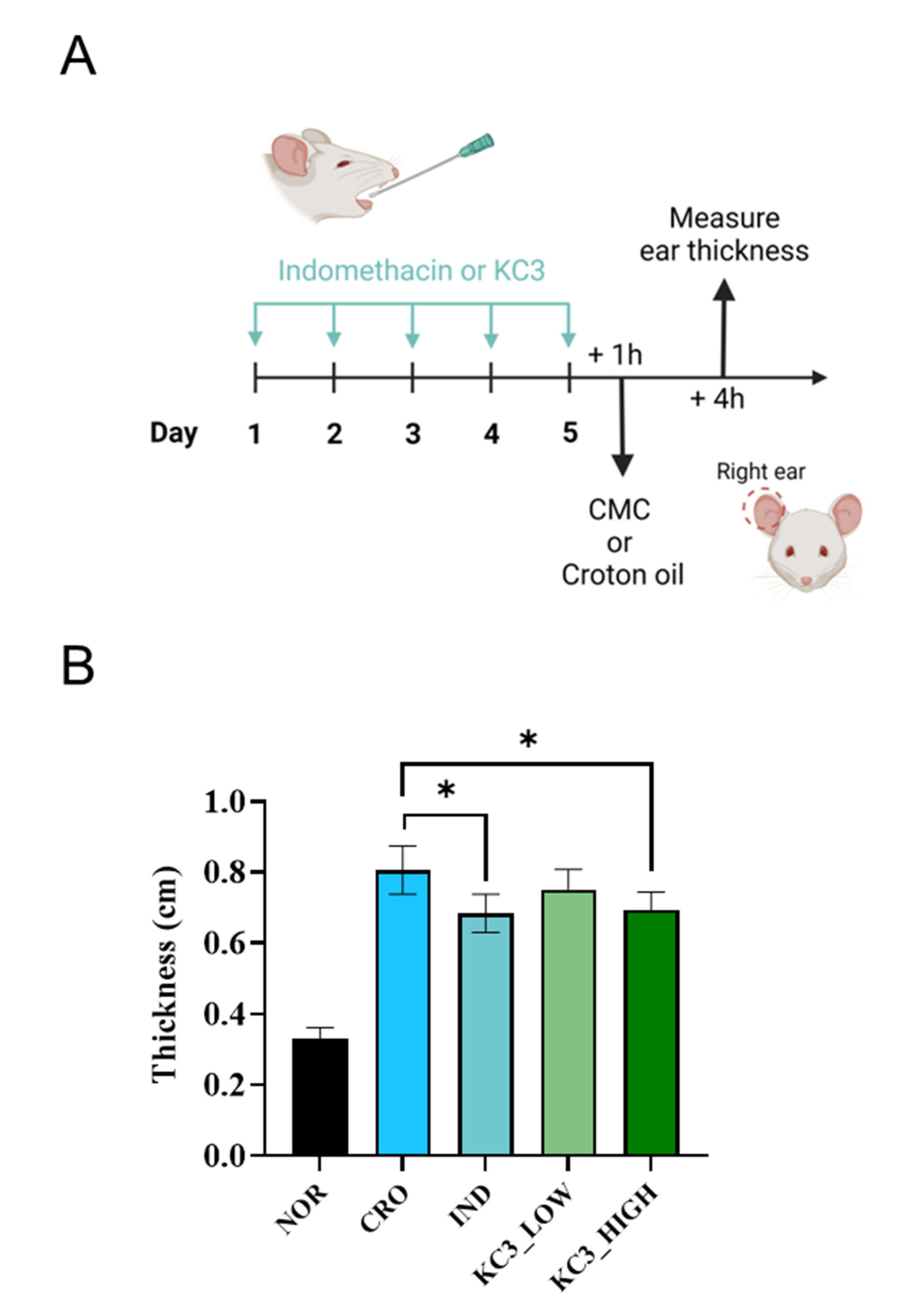 Microorganisms 11 00967 g002