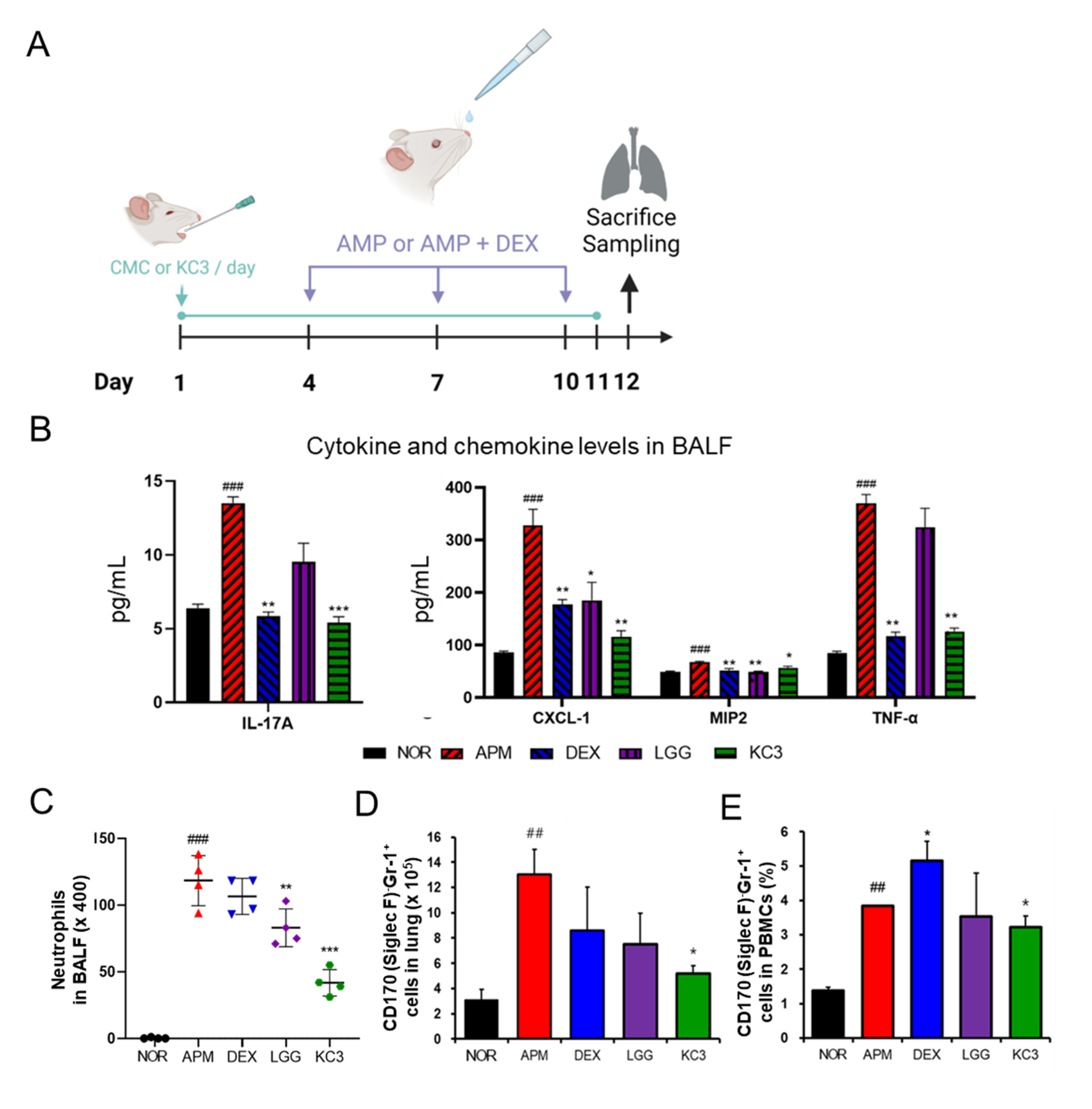 Microorganisms 11 00967 g006