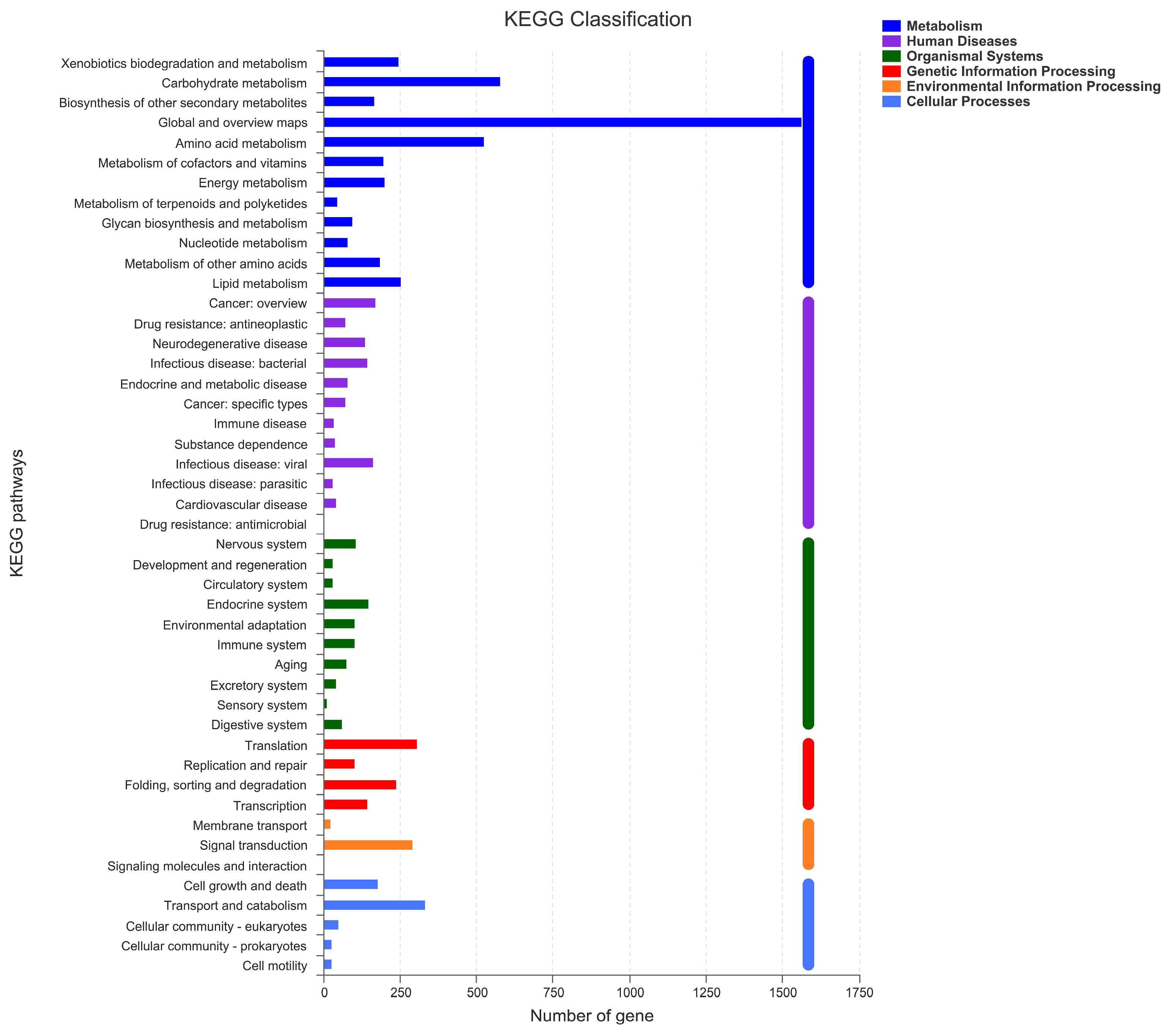 Microorganisms 11 00968 g005