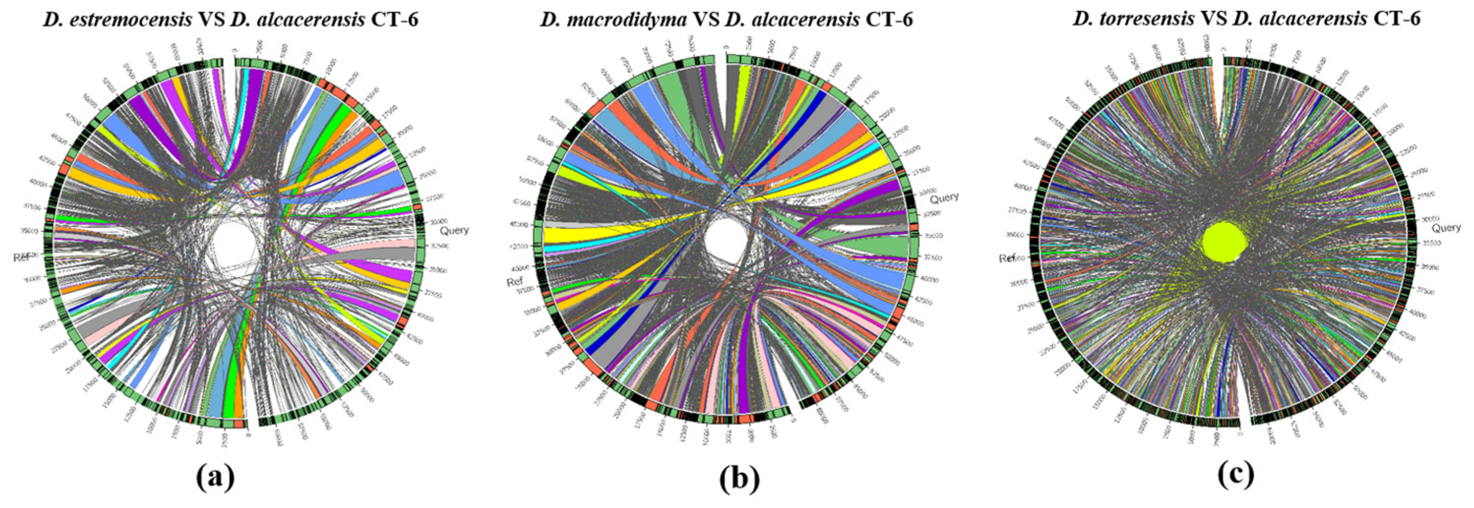 Microorganisms 11 00968 g006