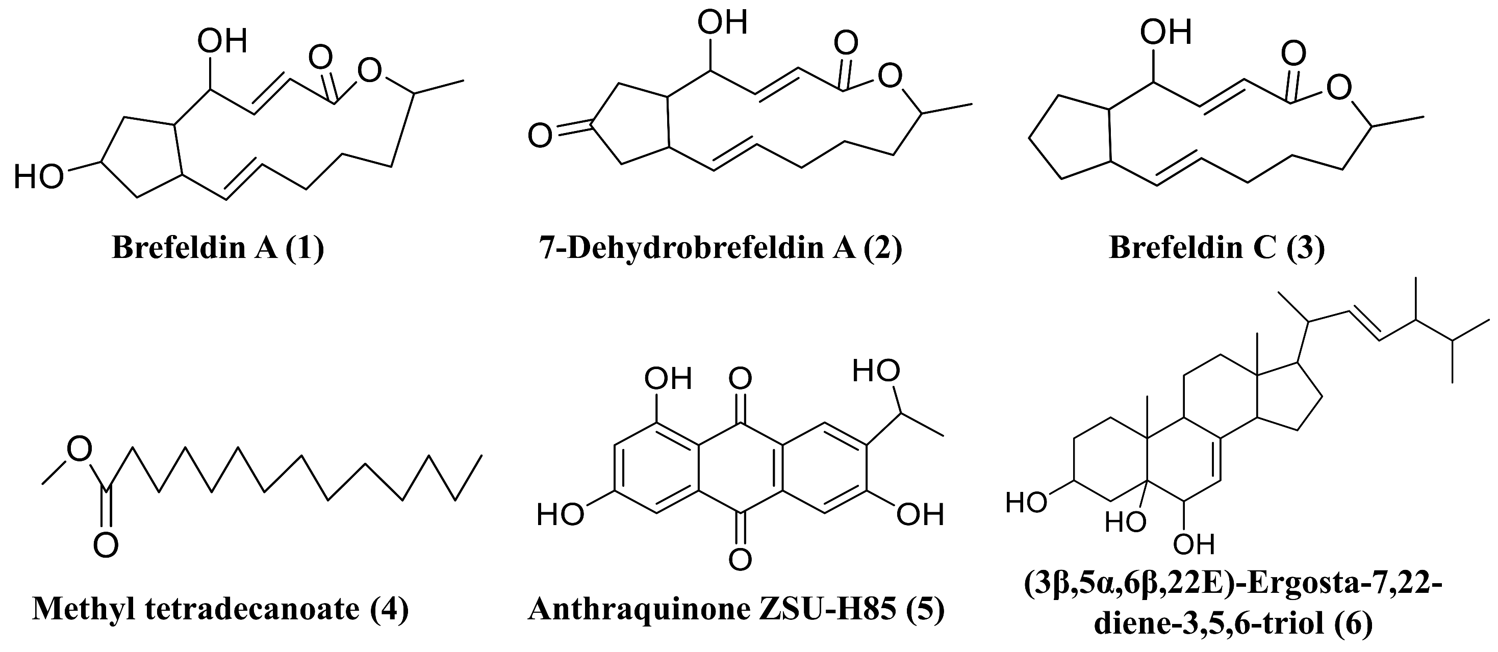 Microorganisms 11 00968 g009
