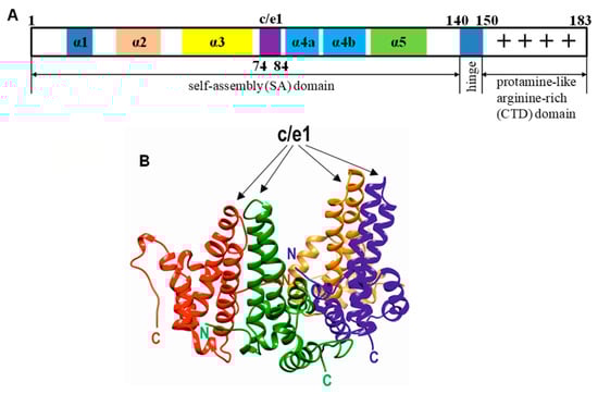 Microorganisms 11 00972 g001