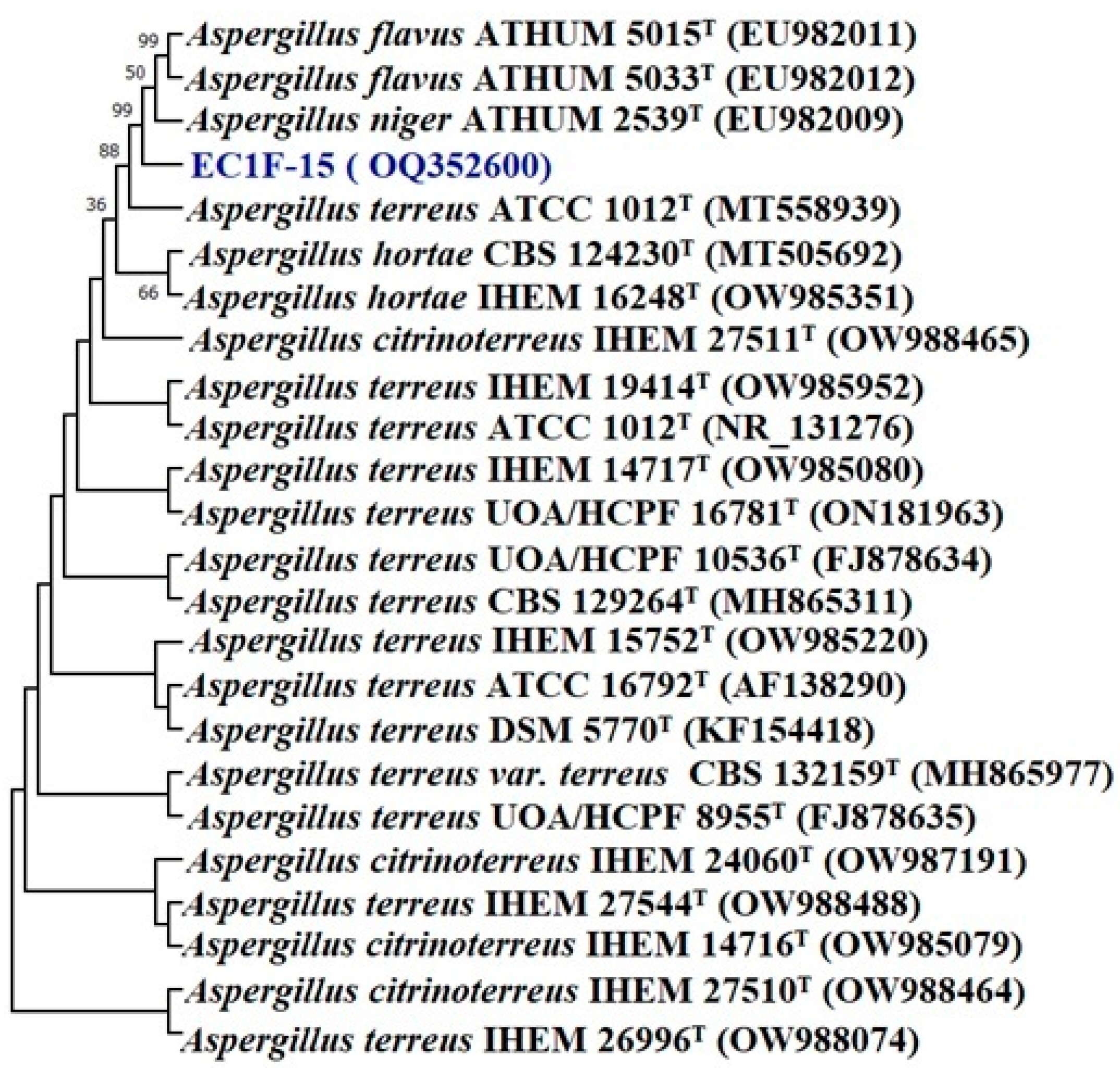 Microorganisms 11 00973 g001