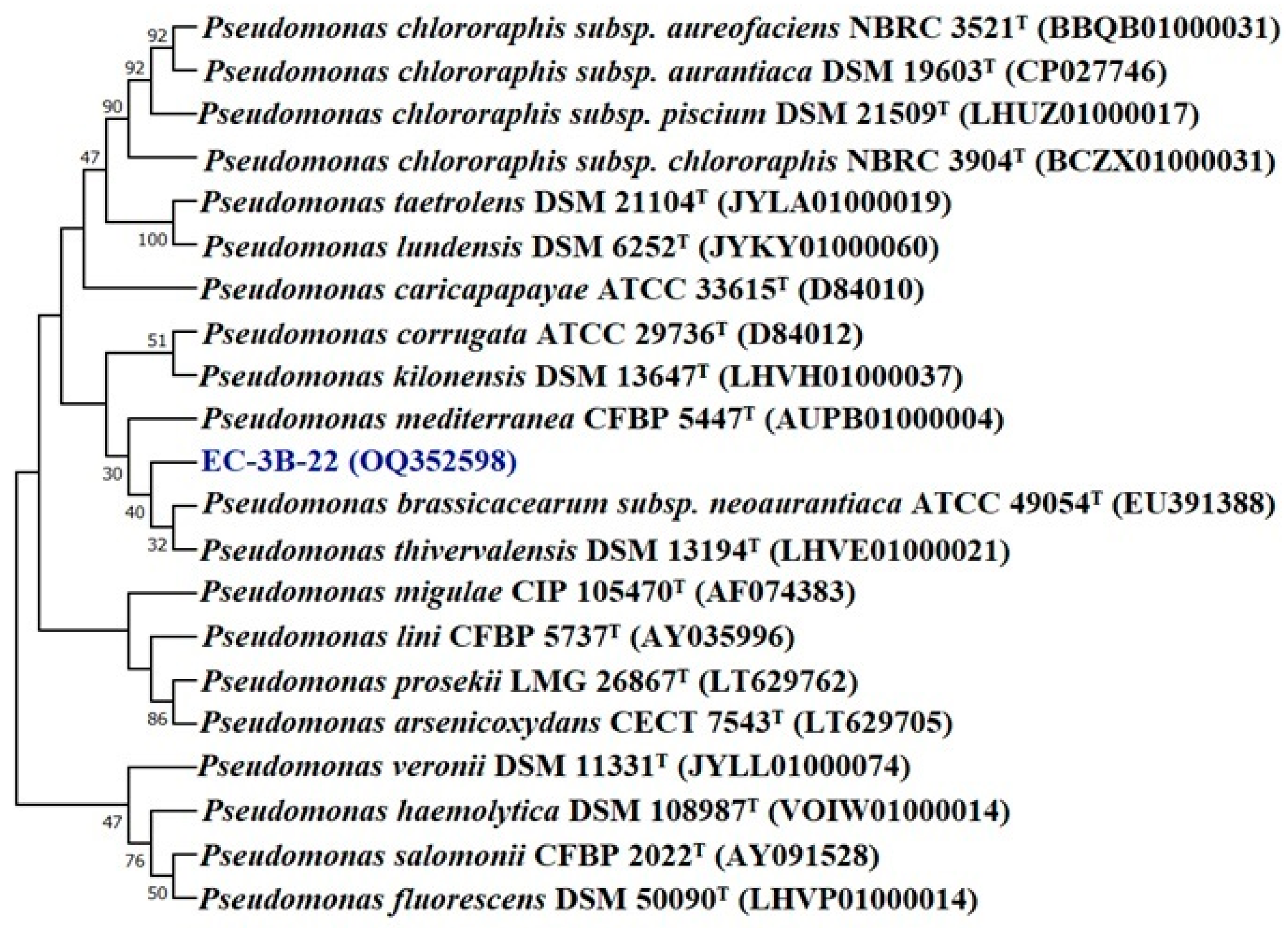 Microorganisms 11 00973 g003