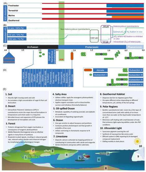 Microorganisms 11 00987 g001