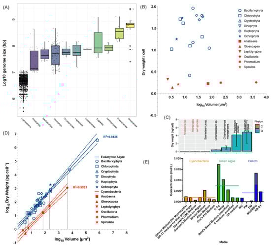 Microorganisms 11 00987 g004