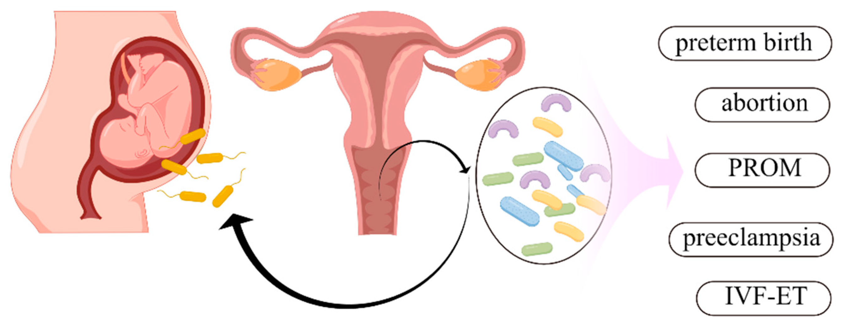 Microorganisms 11 00991 g002