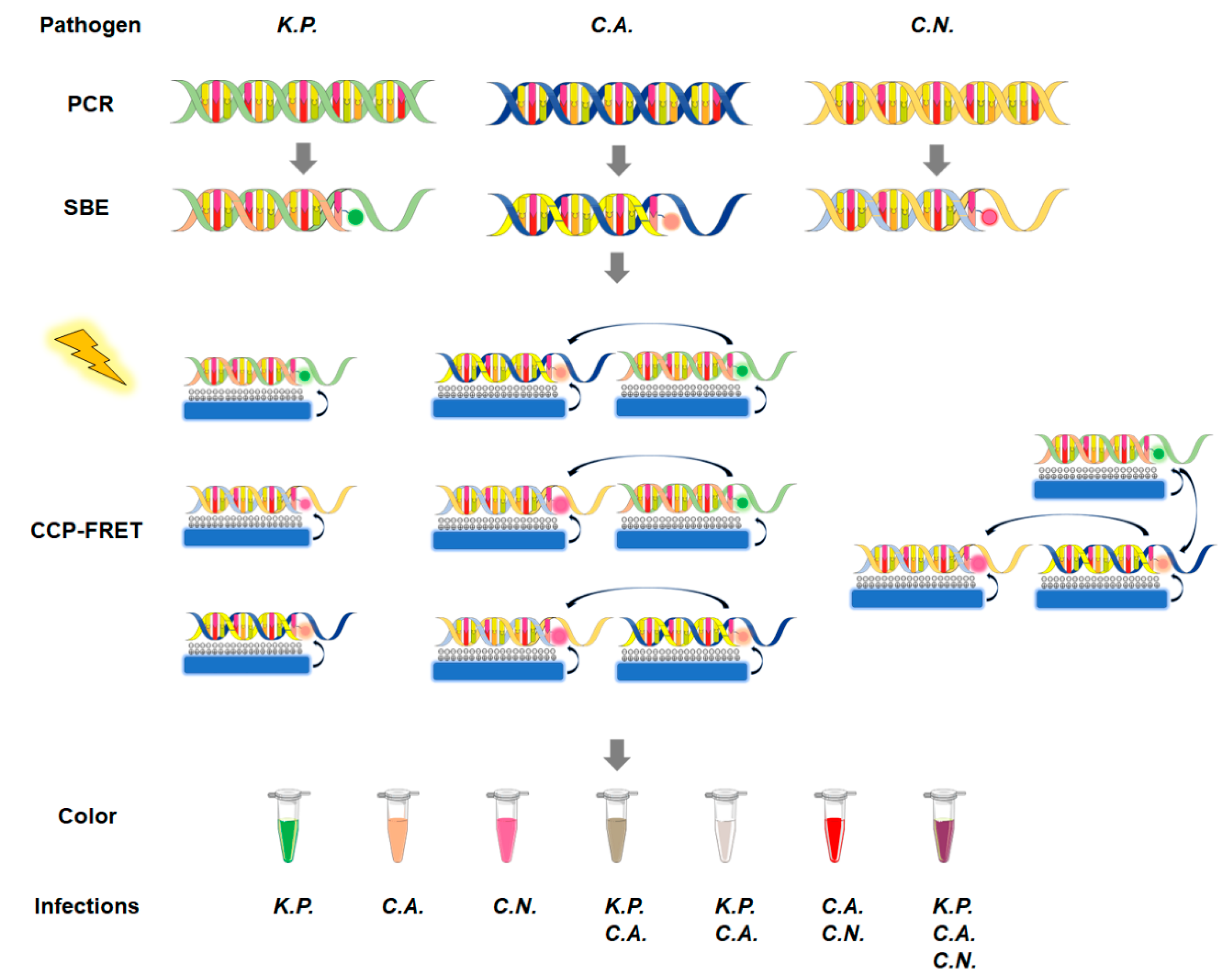 Microorganisms 11 01001 g001