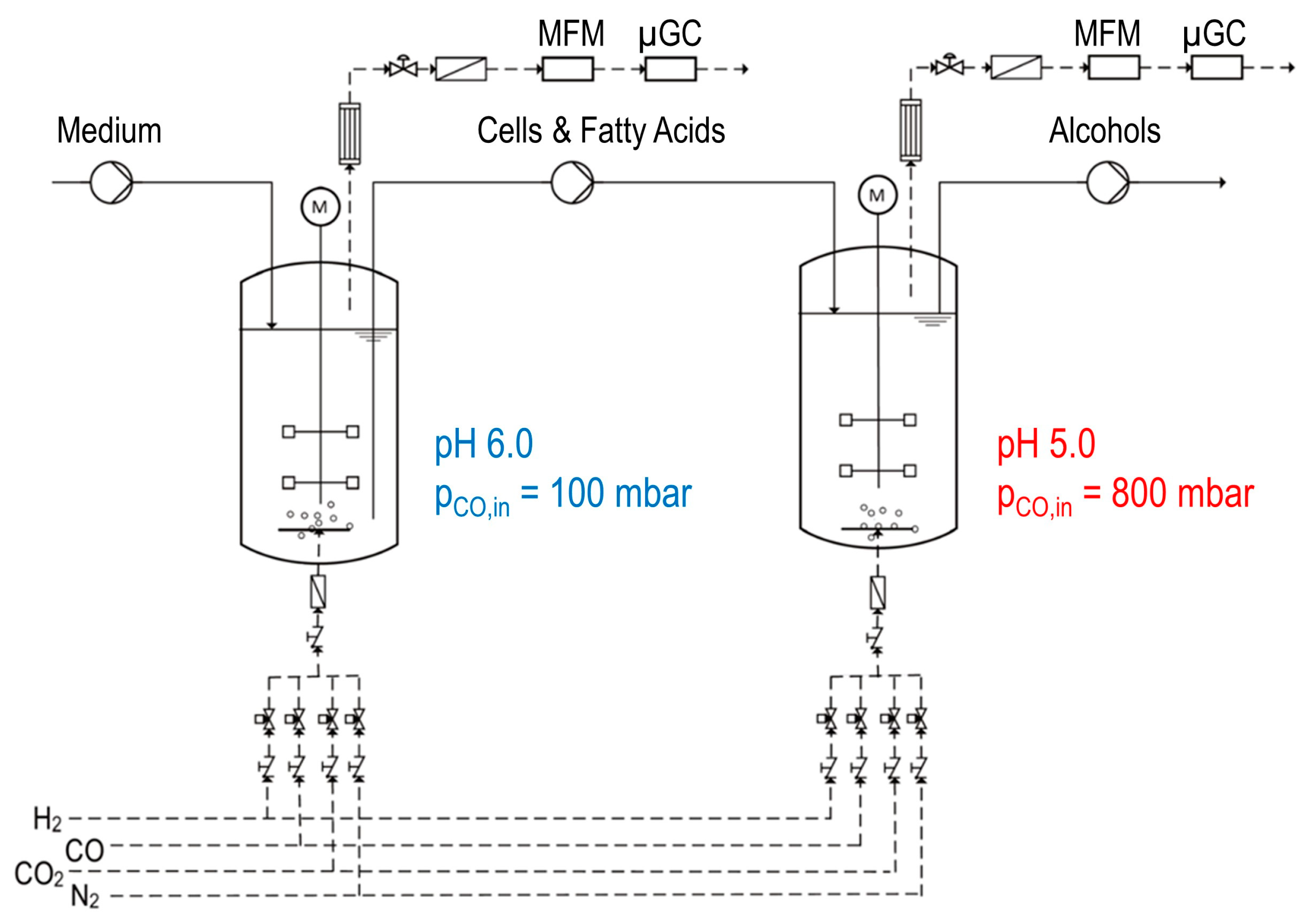 Microorganisms 11 01003 g001