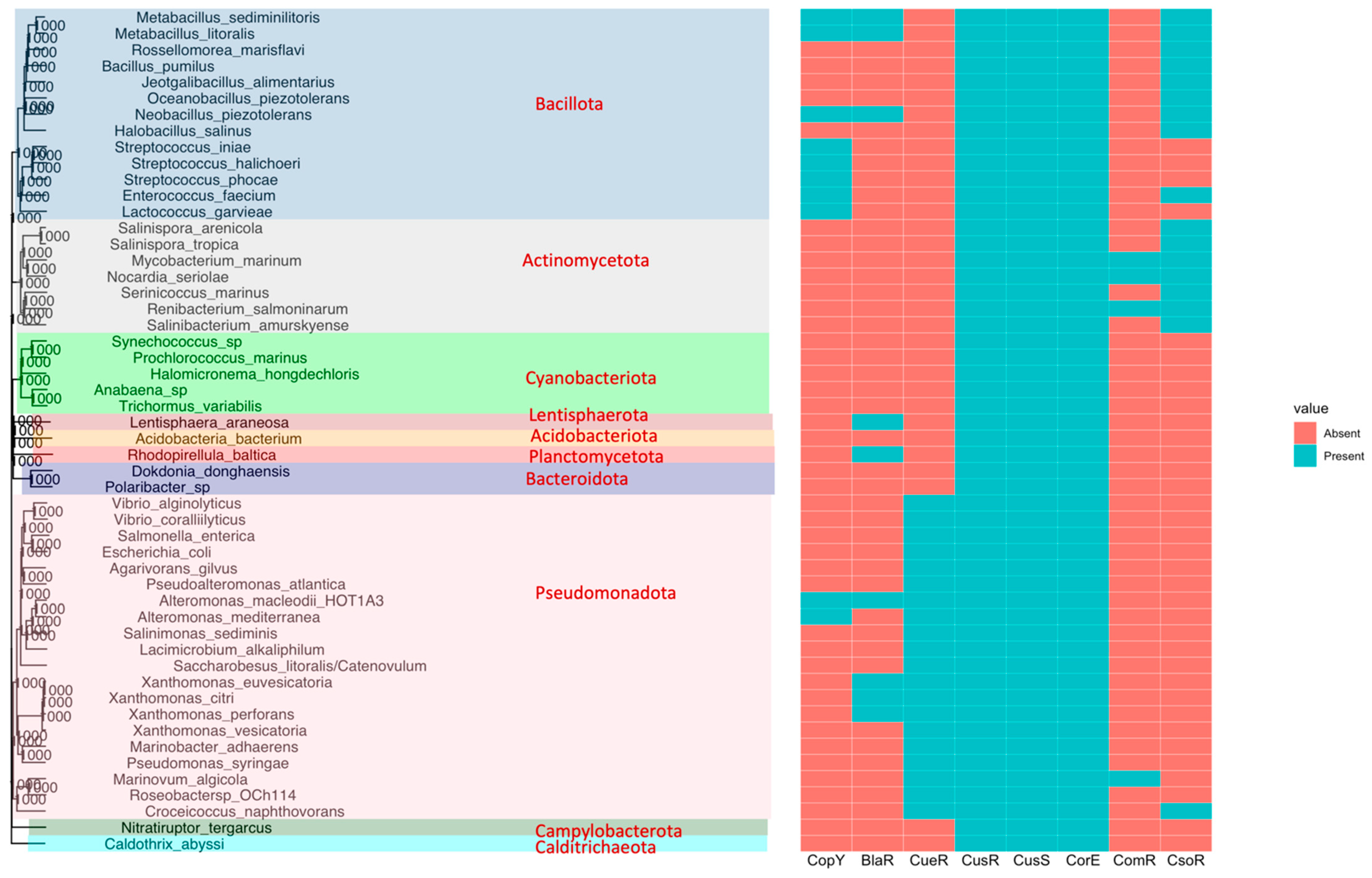 Microorganisms 11 01012 g002