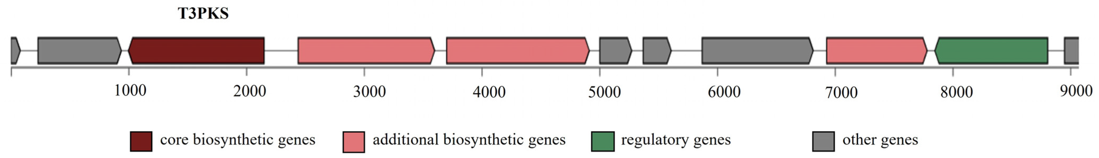 Microorganisms 11 01034 g003