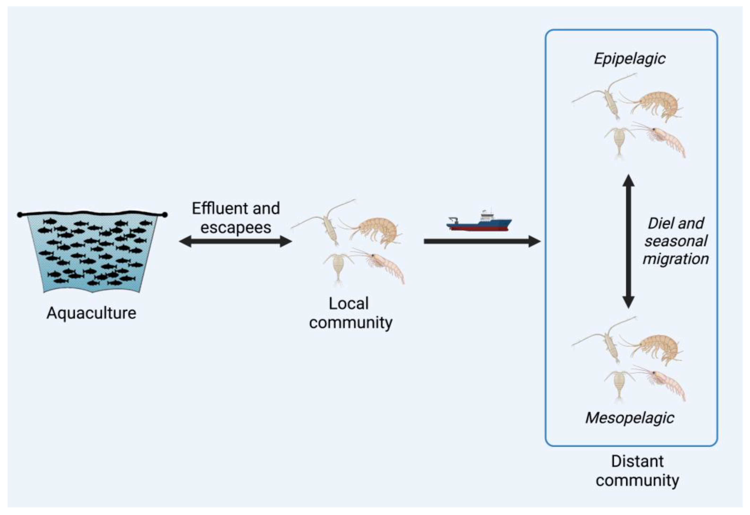 Microorganisms 11 01054 g002