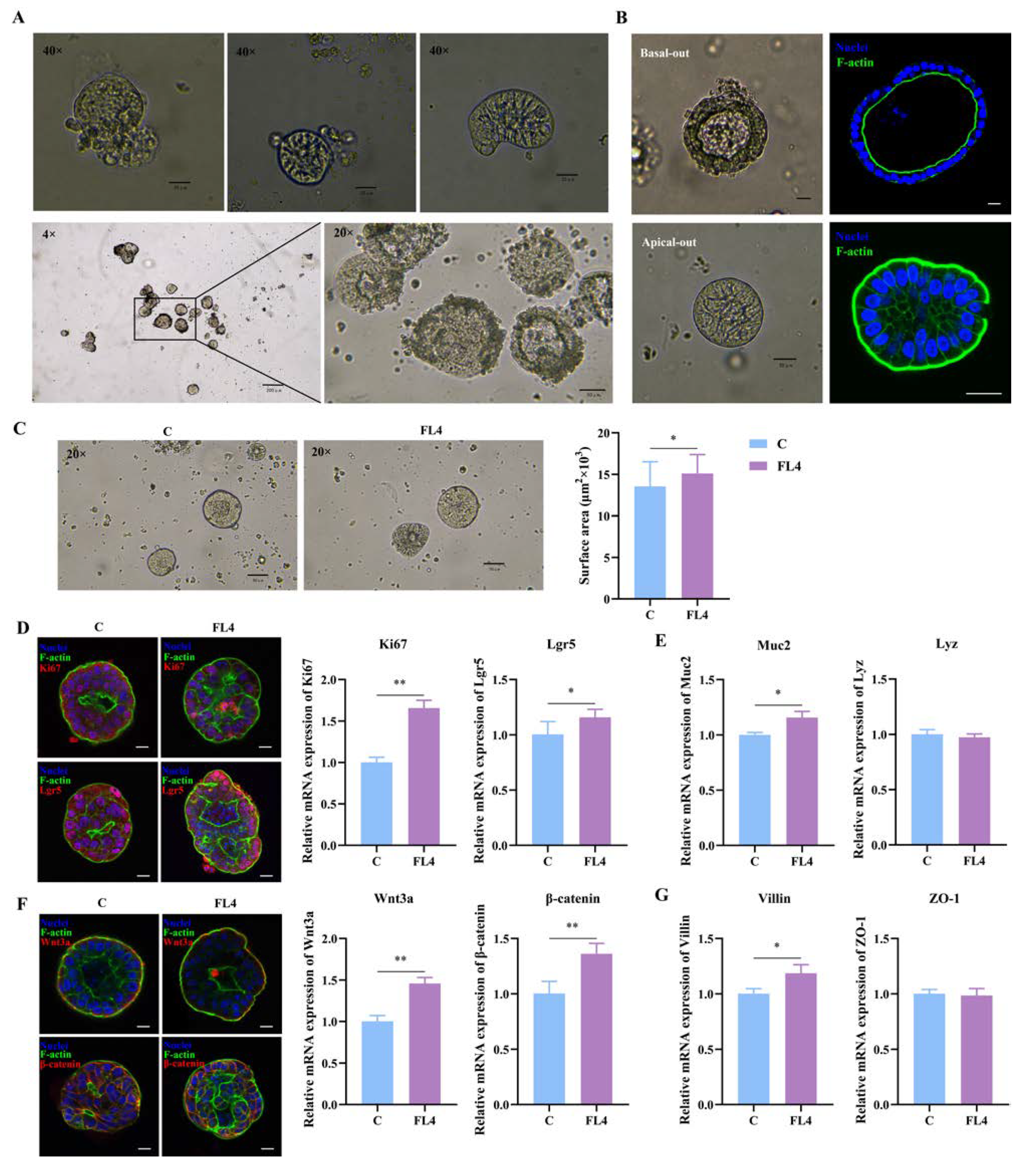 Microorganisms 11 01055 g007 Microorganisms 11 01055 g007