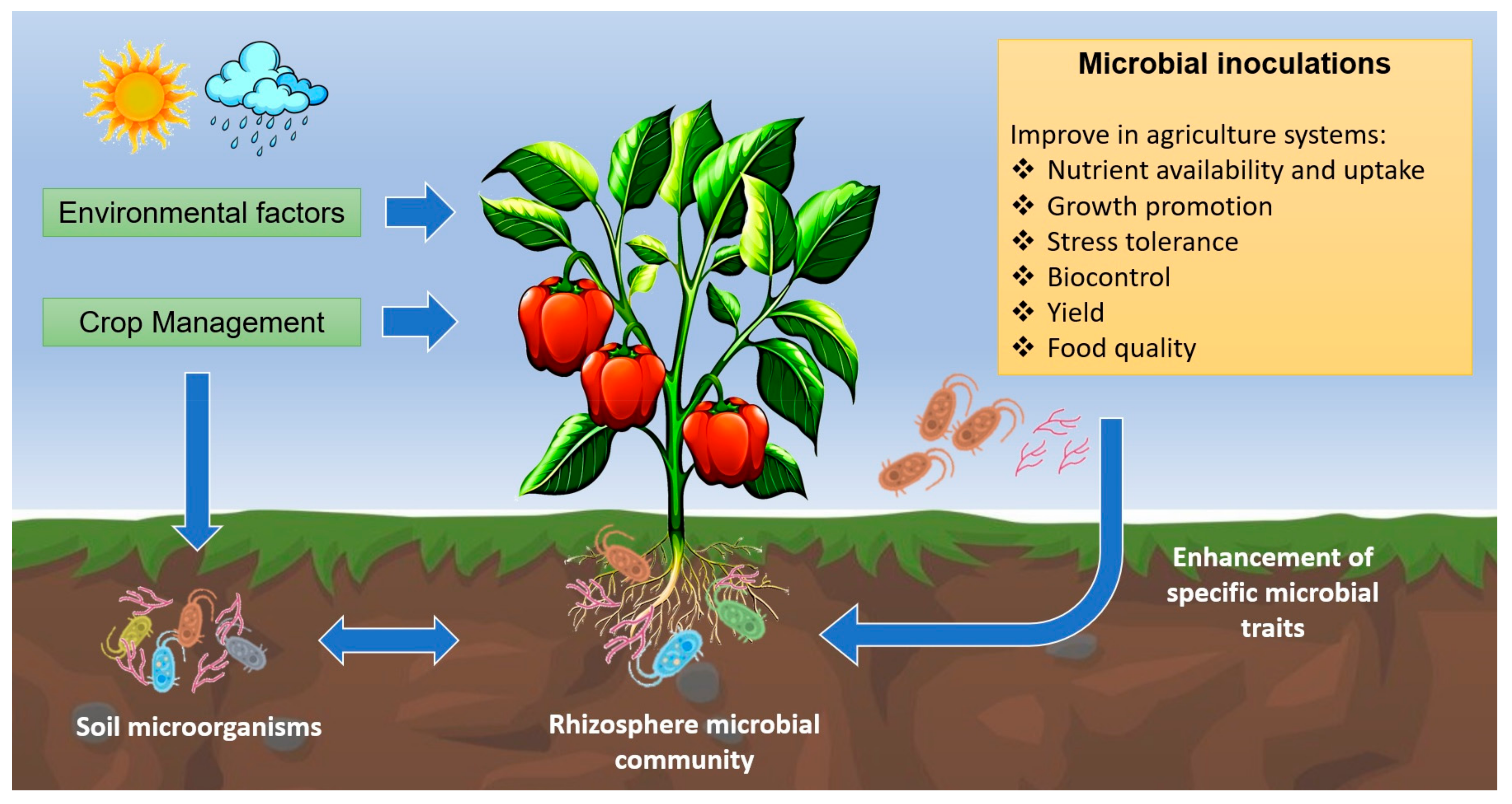 Microorganisms 11 01061 g001 Microorganisms 11 01061 g001