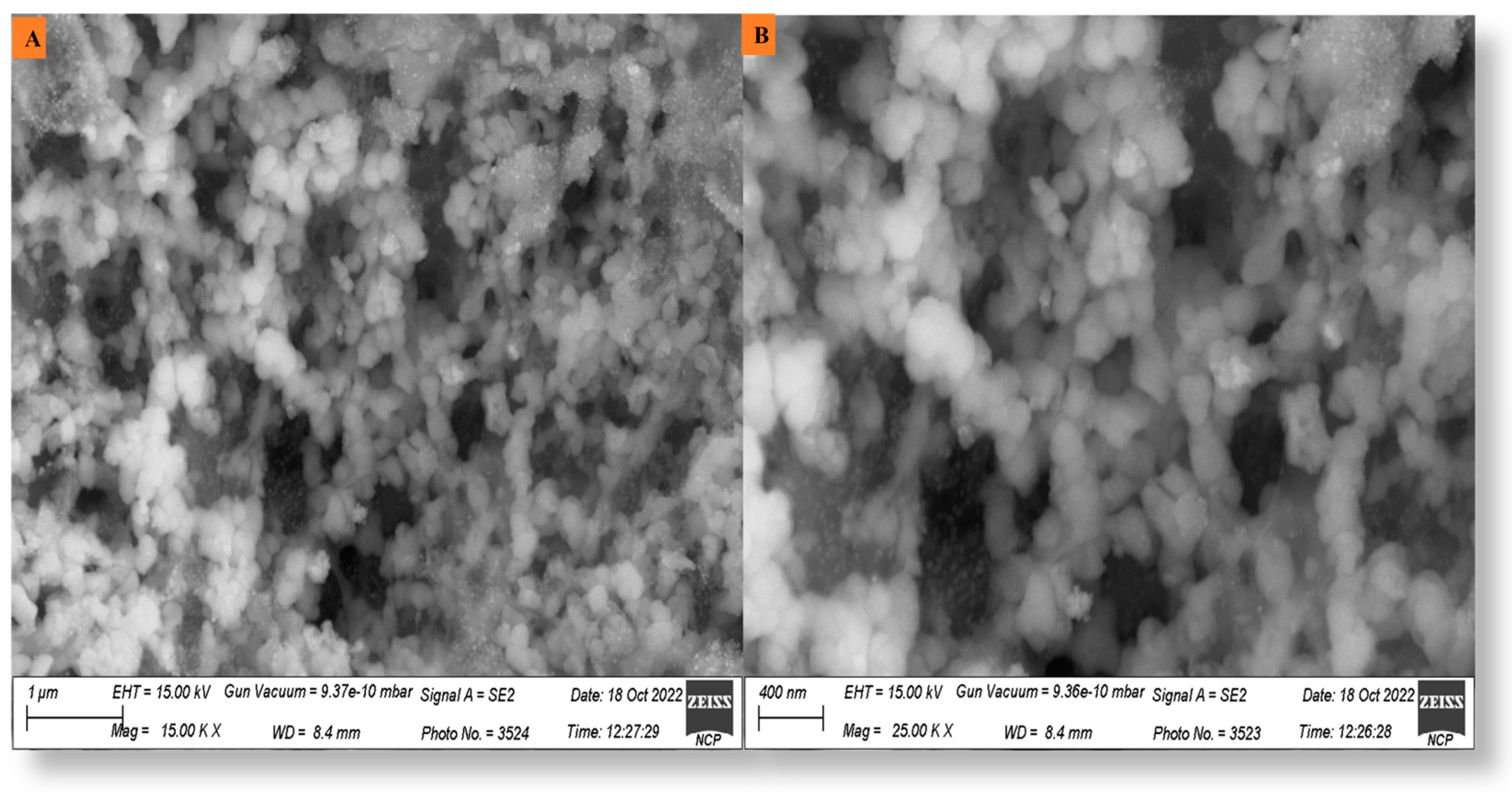 Microorganisms 11 01069 g006
