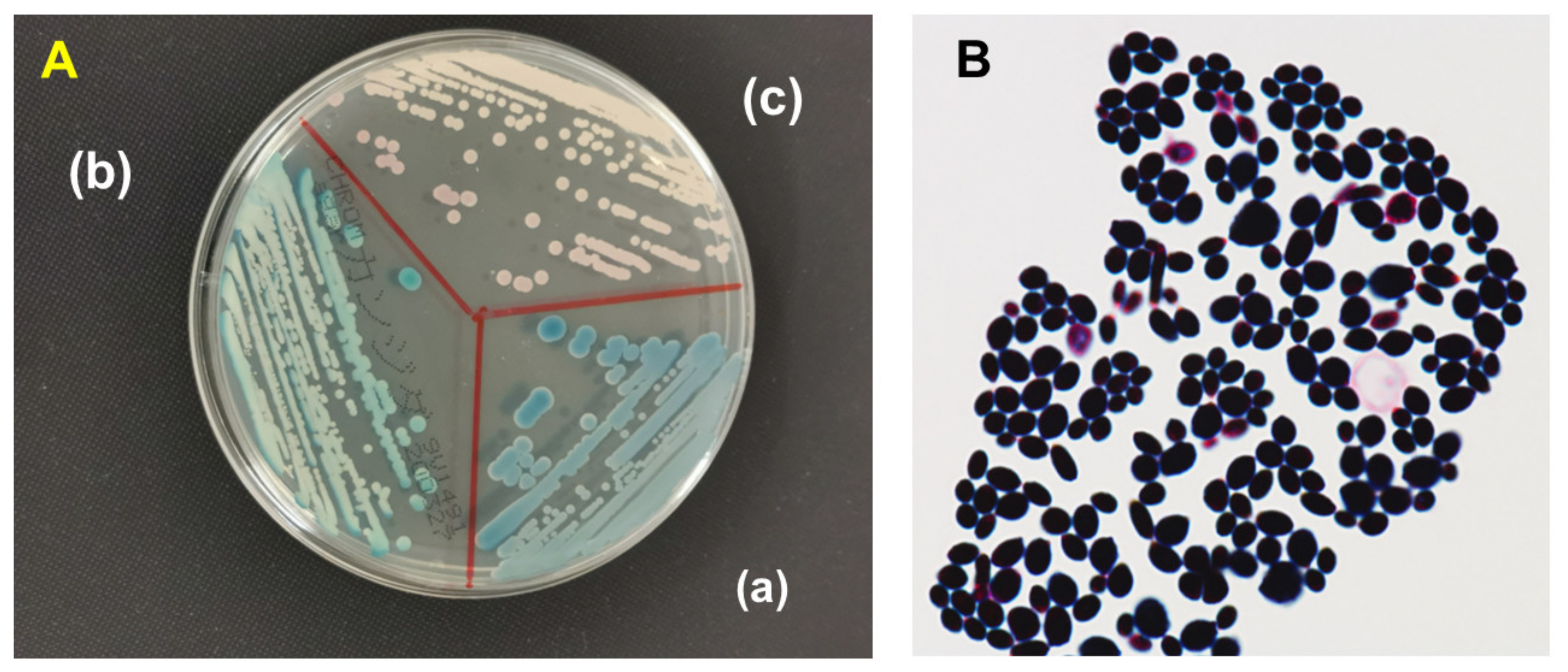 Microorganisms 11 01076 g001 Microorganisms 11 01076 g001