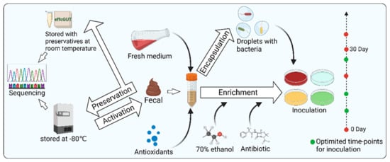 Microorganisms 11 01080 g003